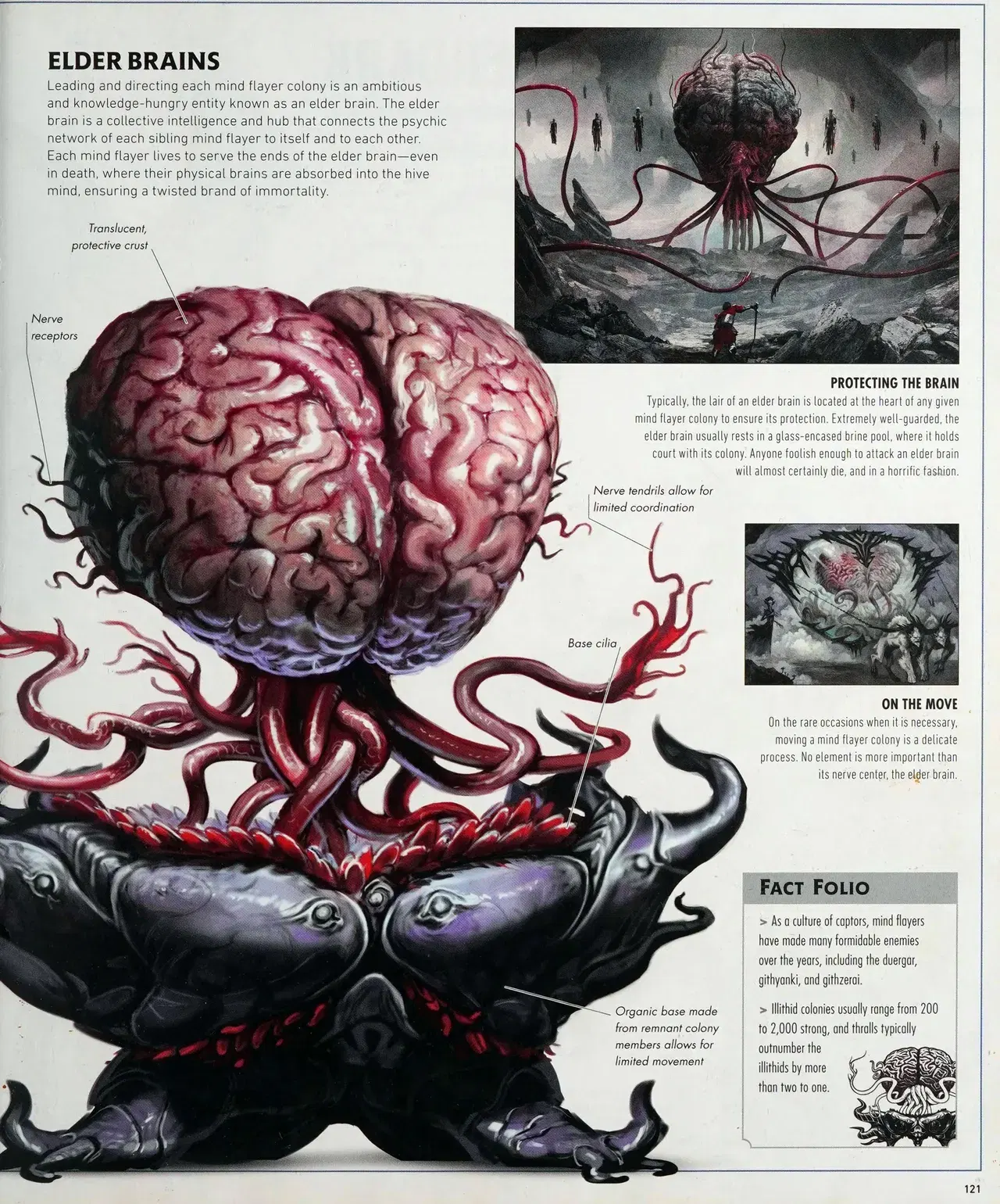 Image #124