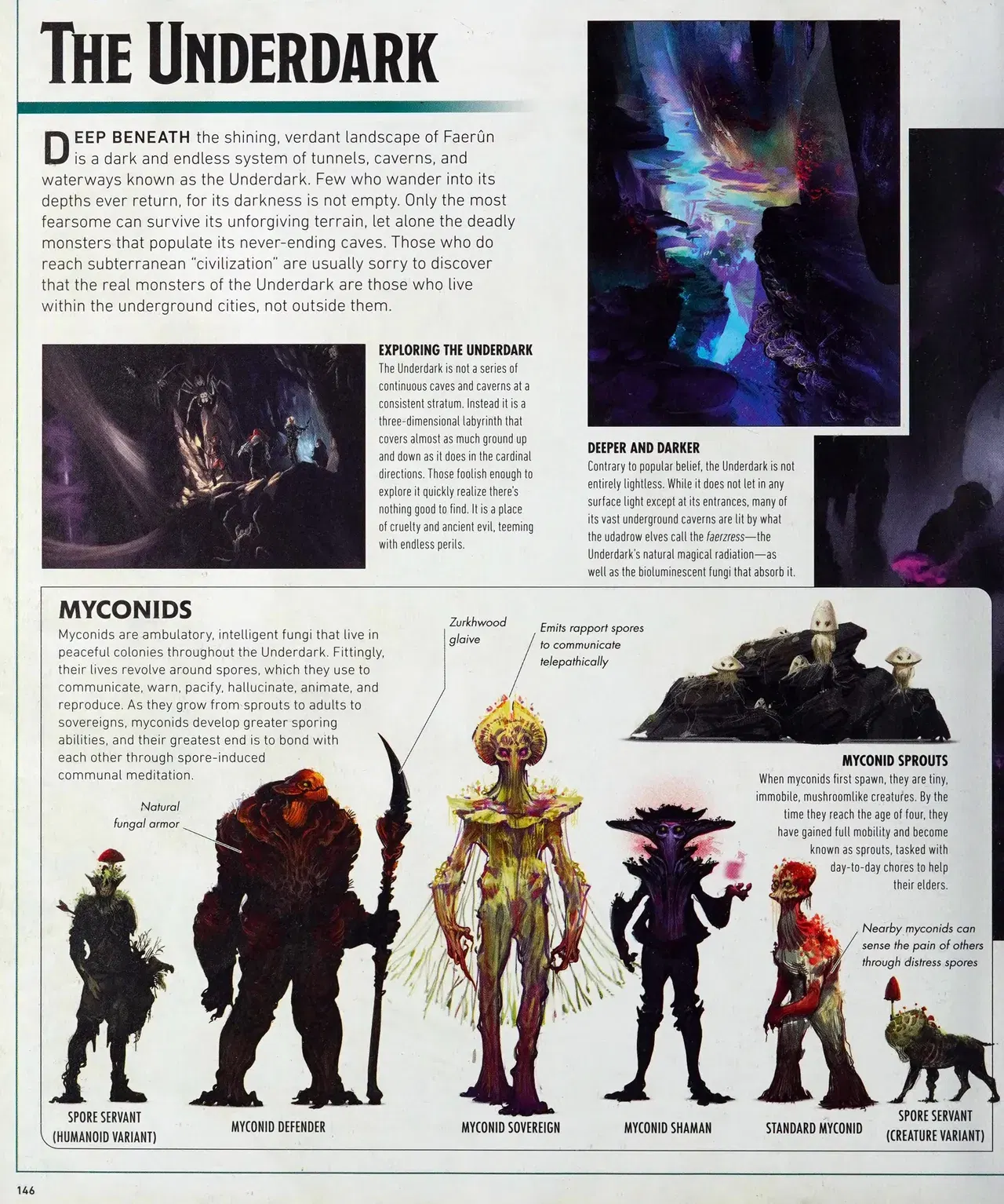 Image #149