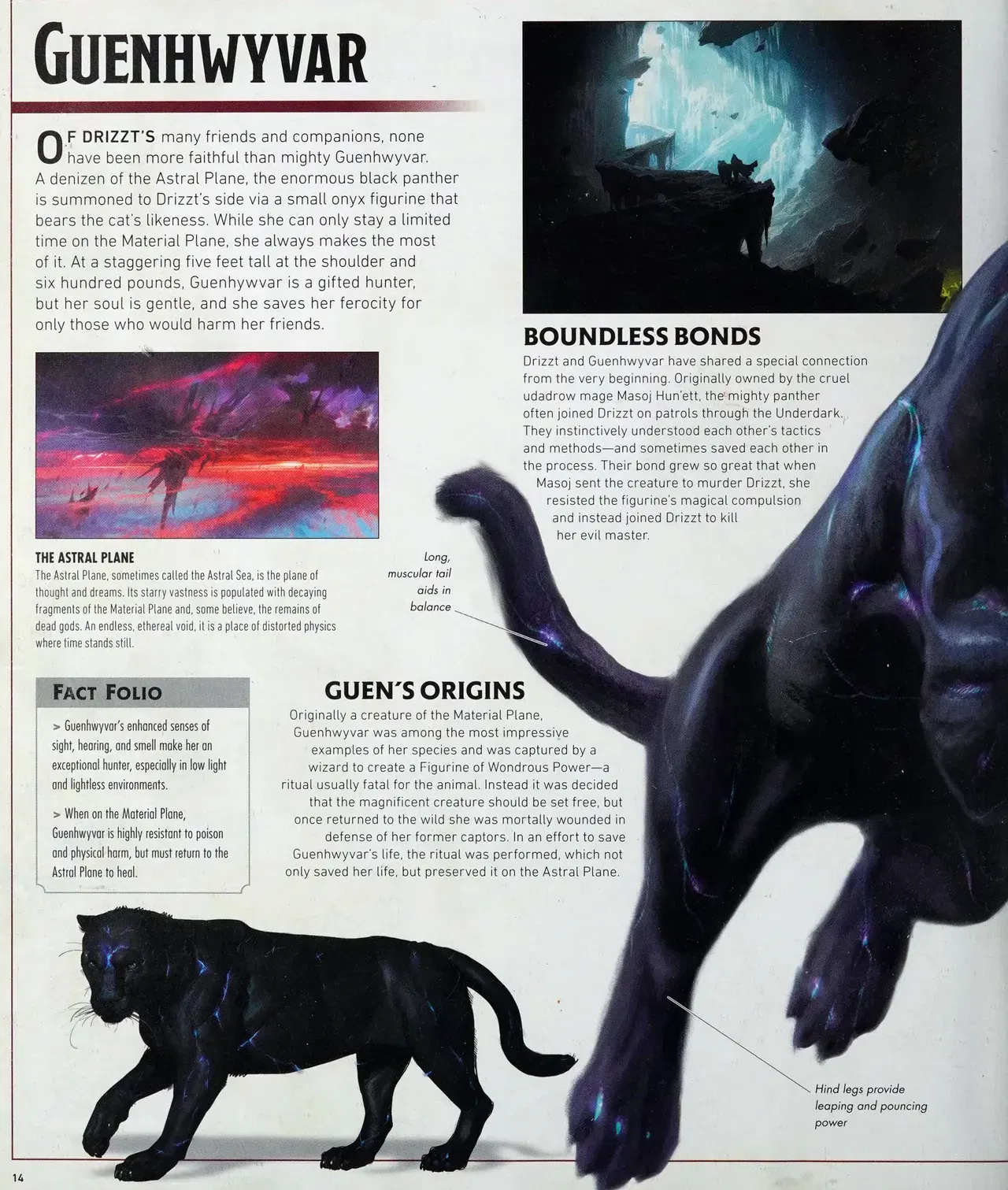 Image #17