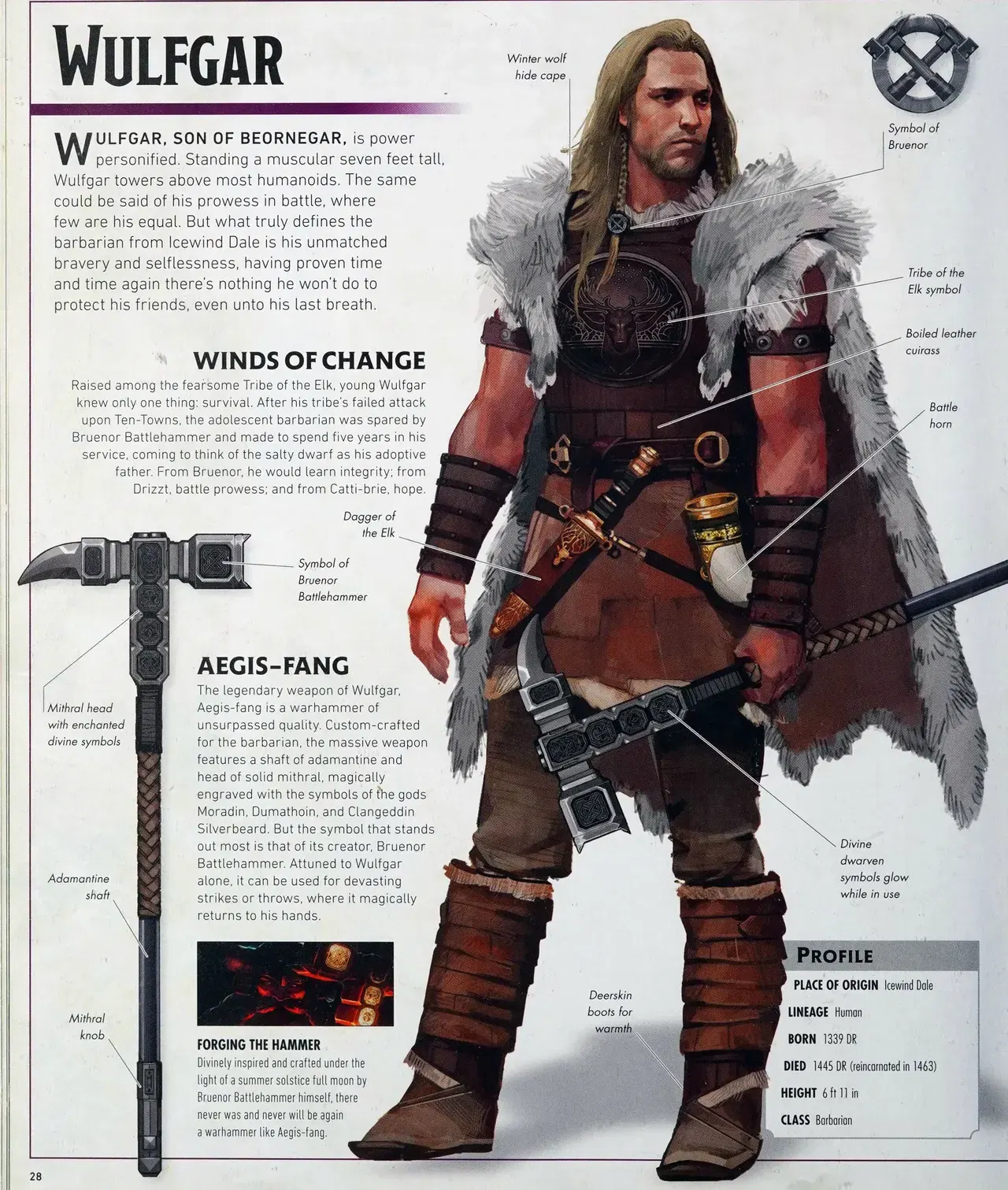Image #31