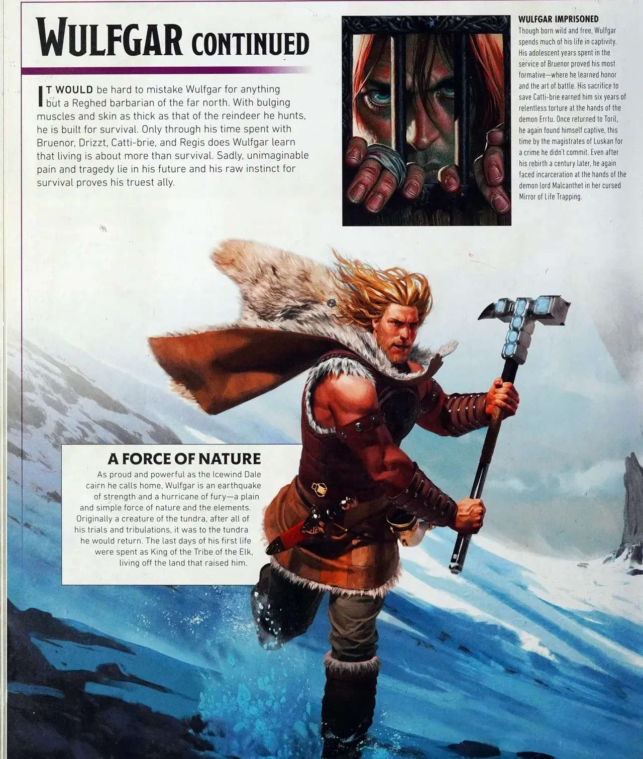 Image #33