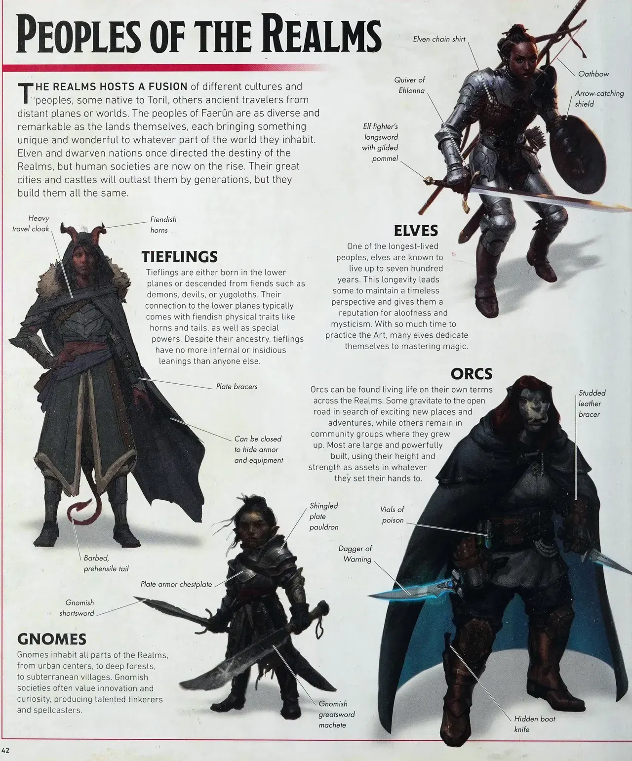 Image #45
