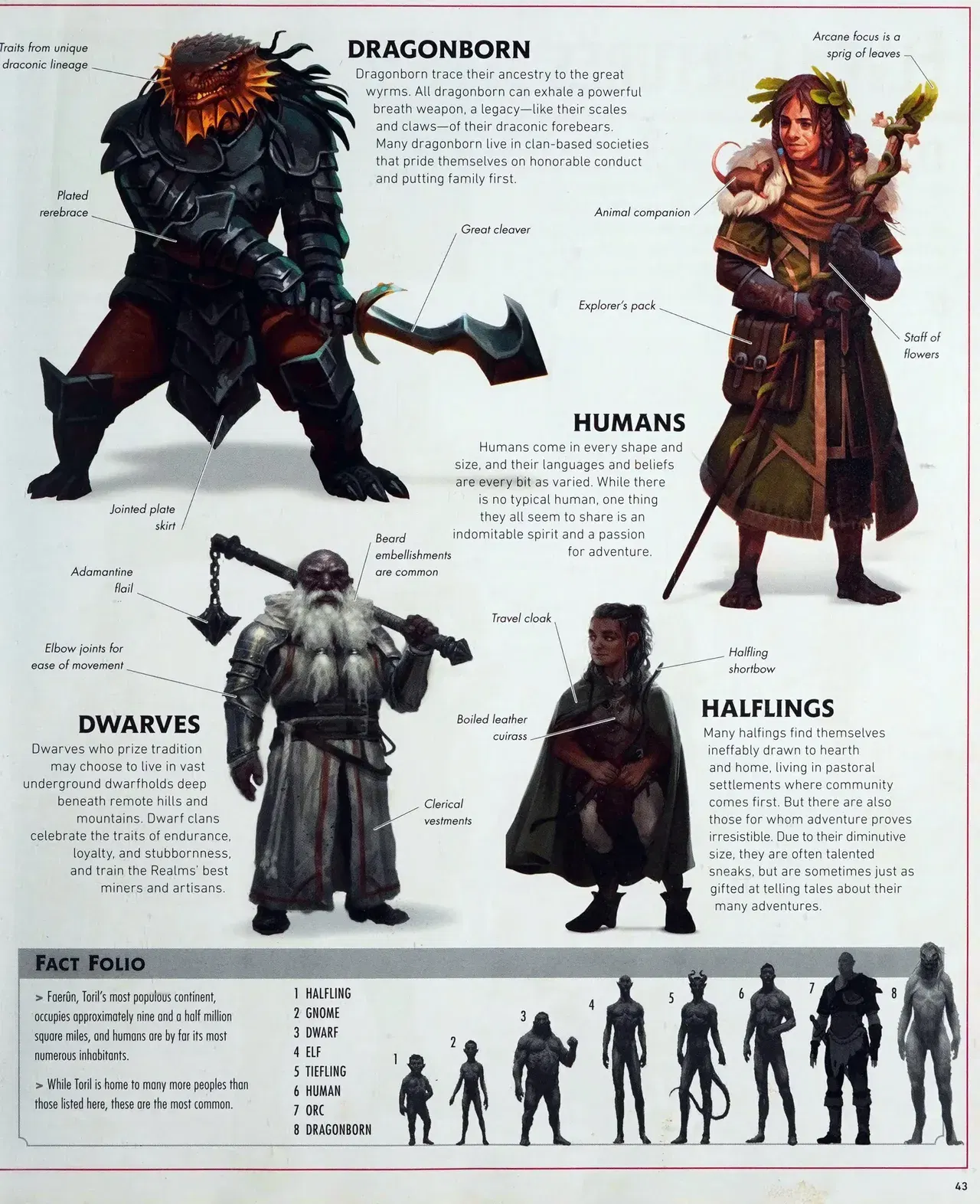Image #46