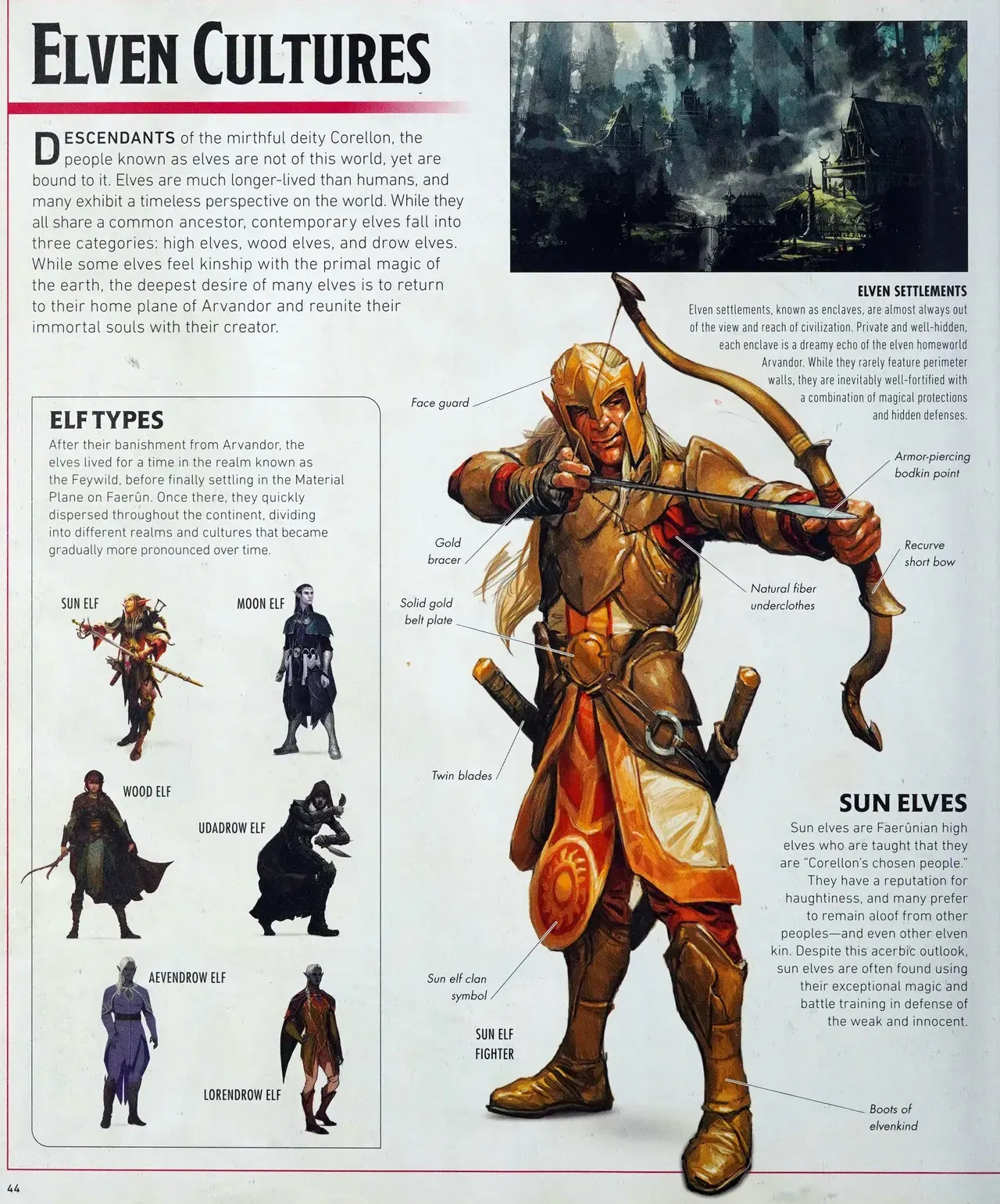 Image #47