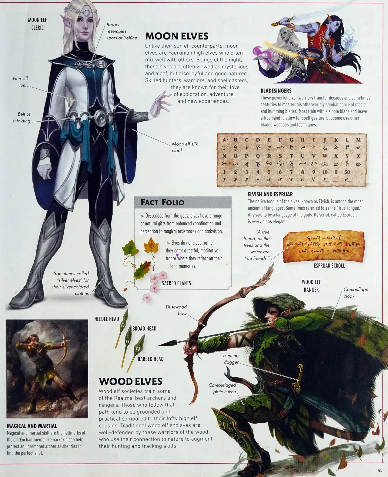 Image #48
