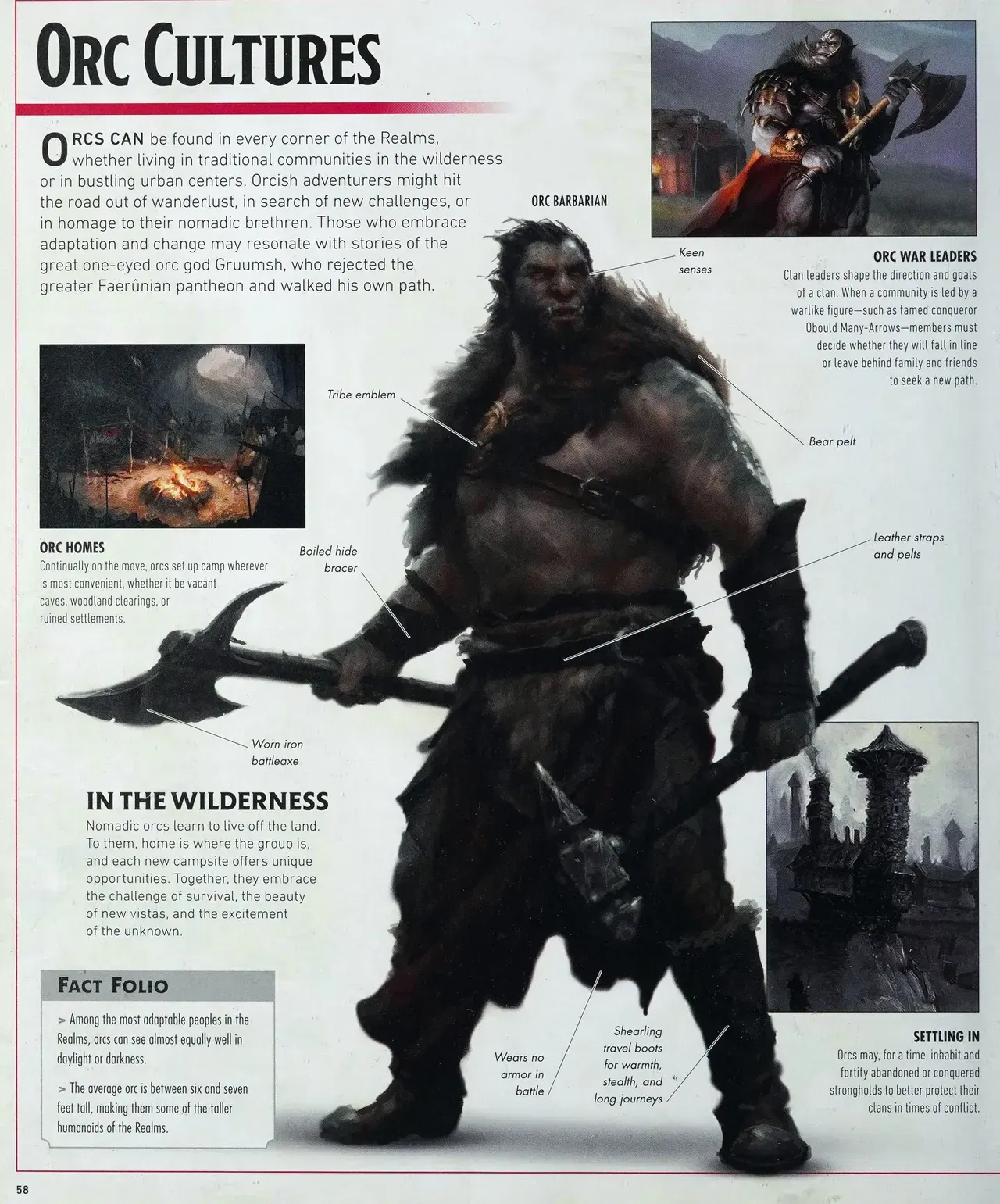 Image #61