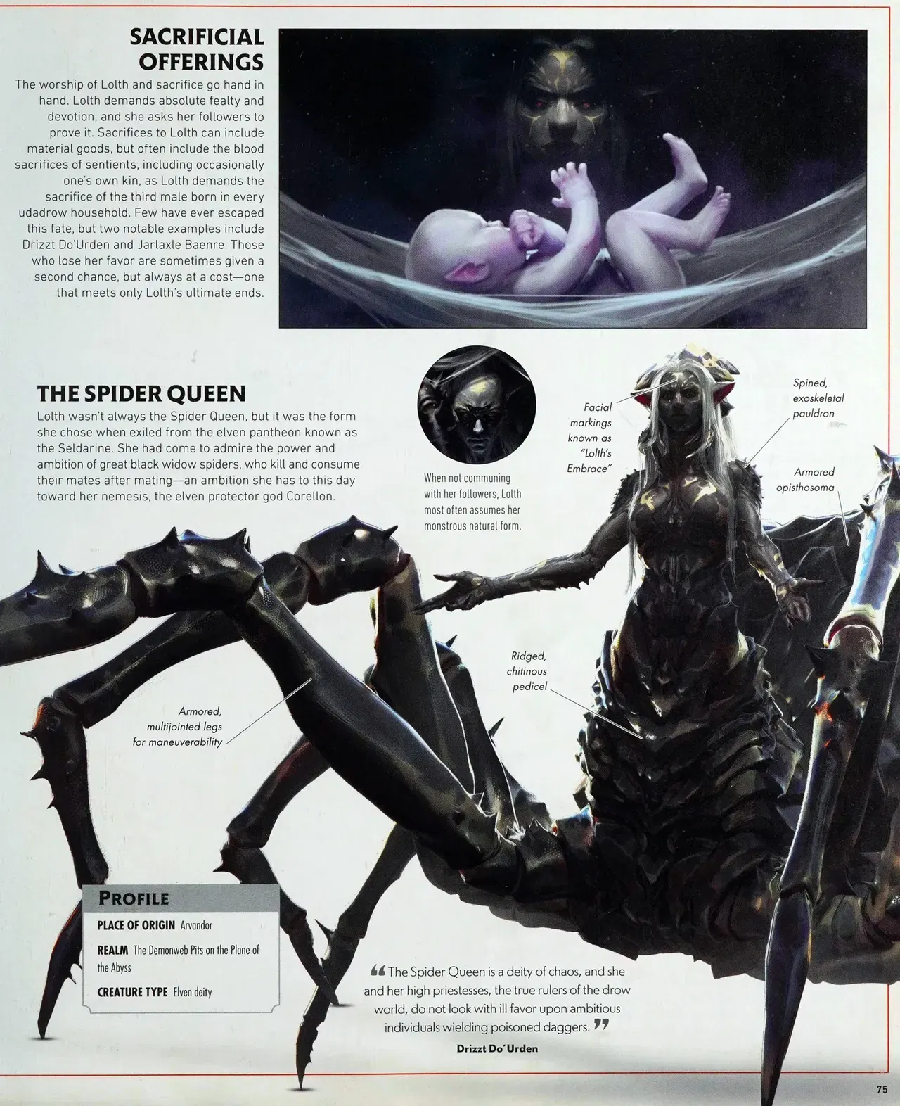 Image #78