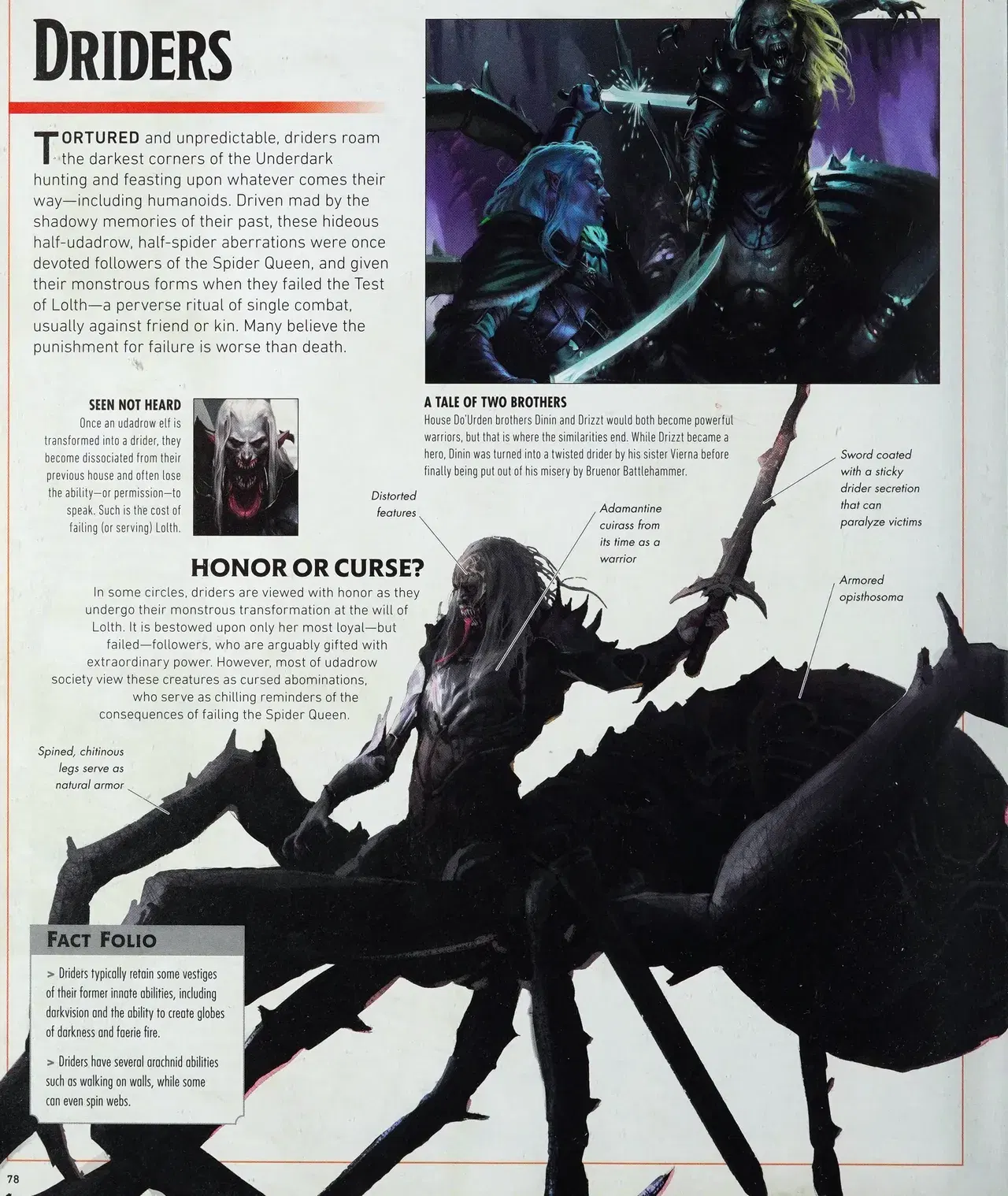 Image #81