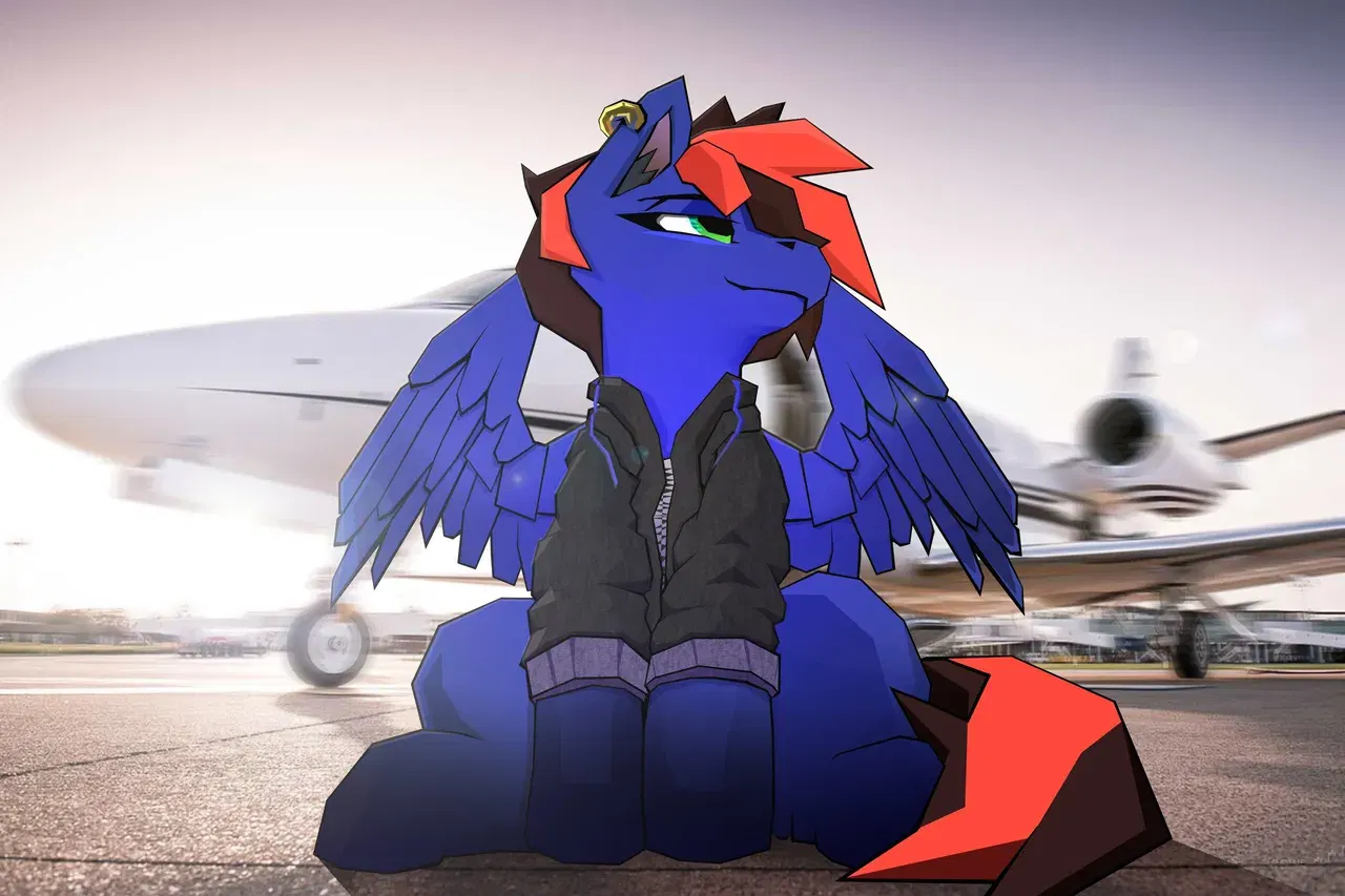 Image #246