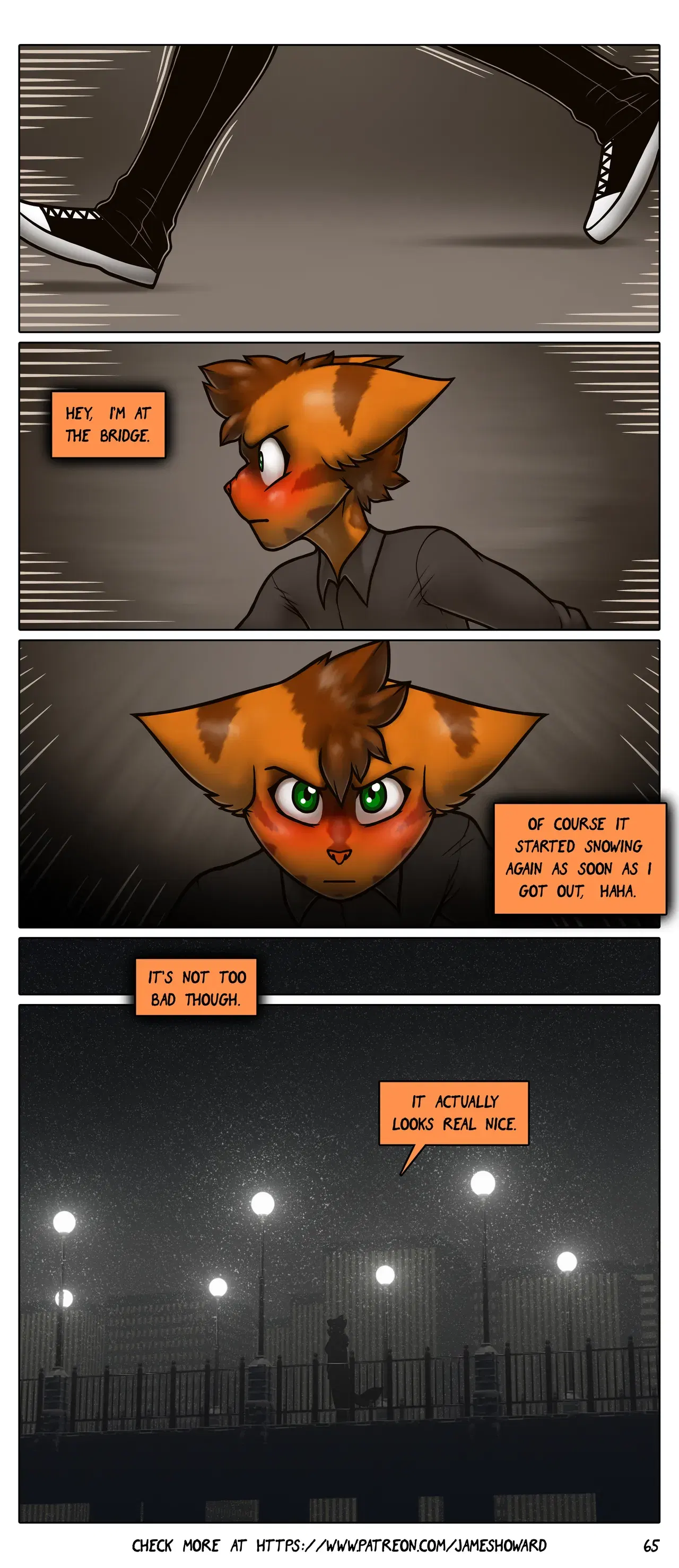 Image #66