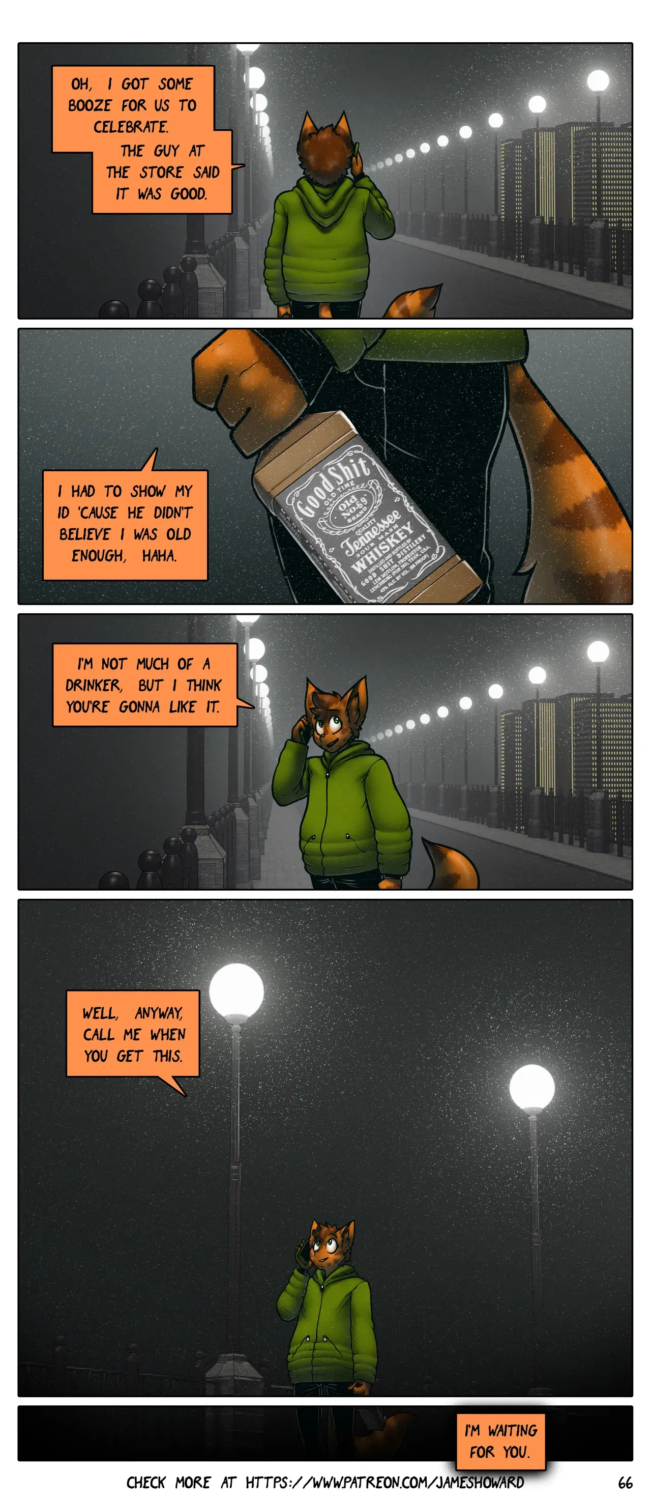 Image #67