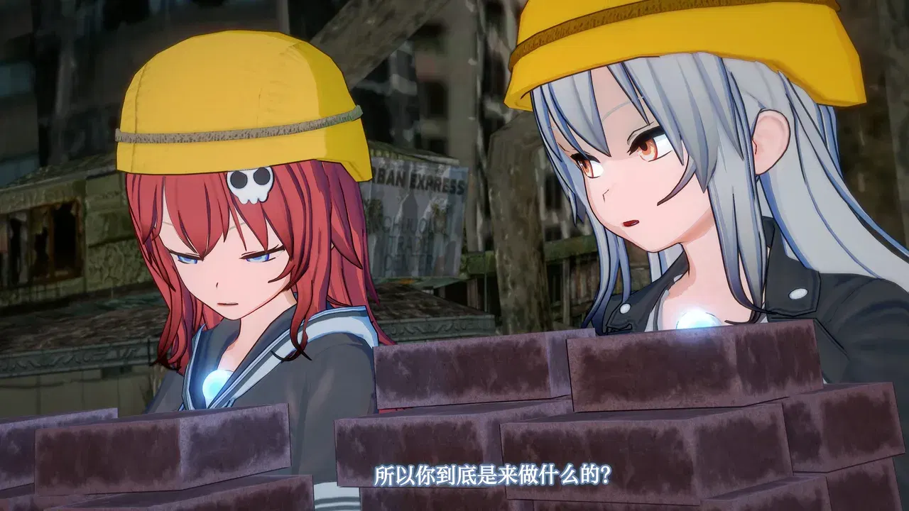 Image #17
