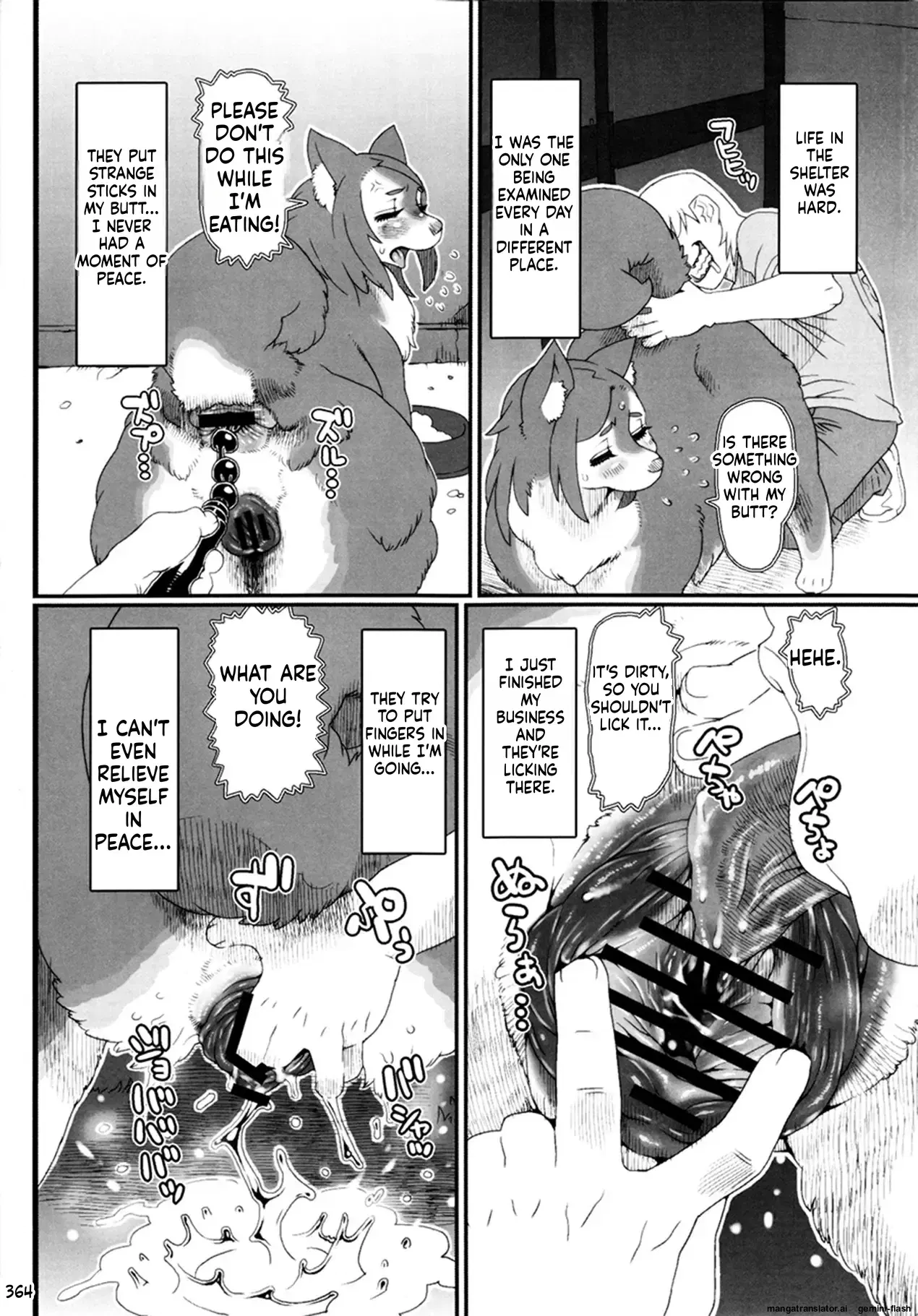 Image #16
