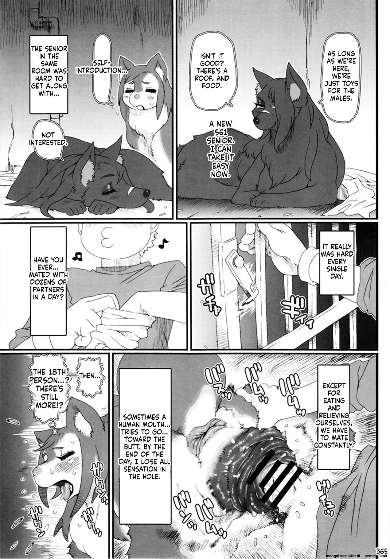 Image #17