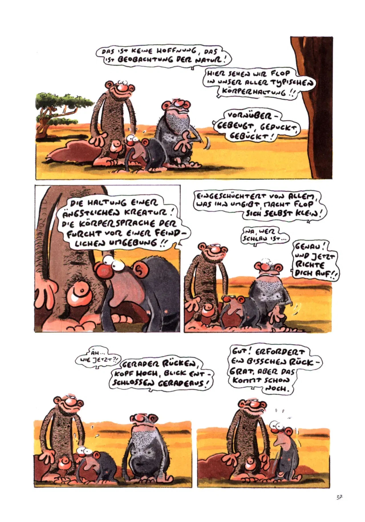Image #38