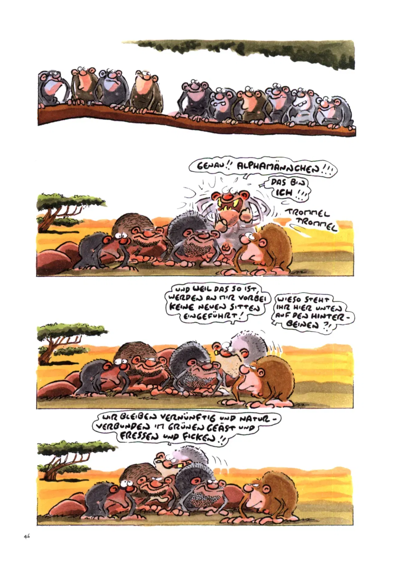 Image #47