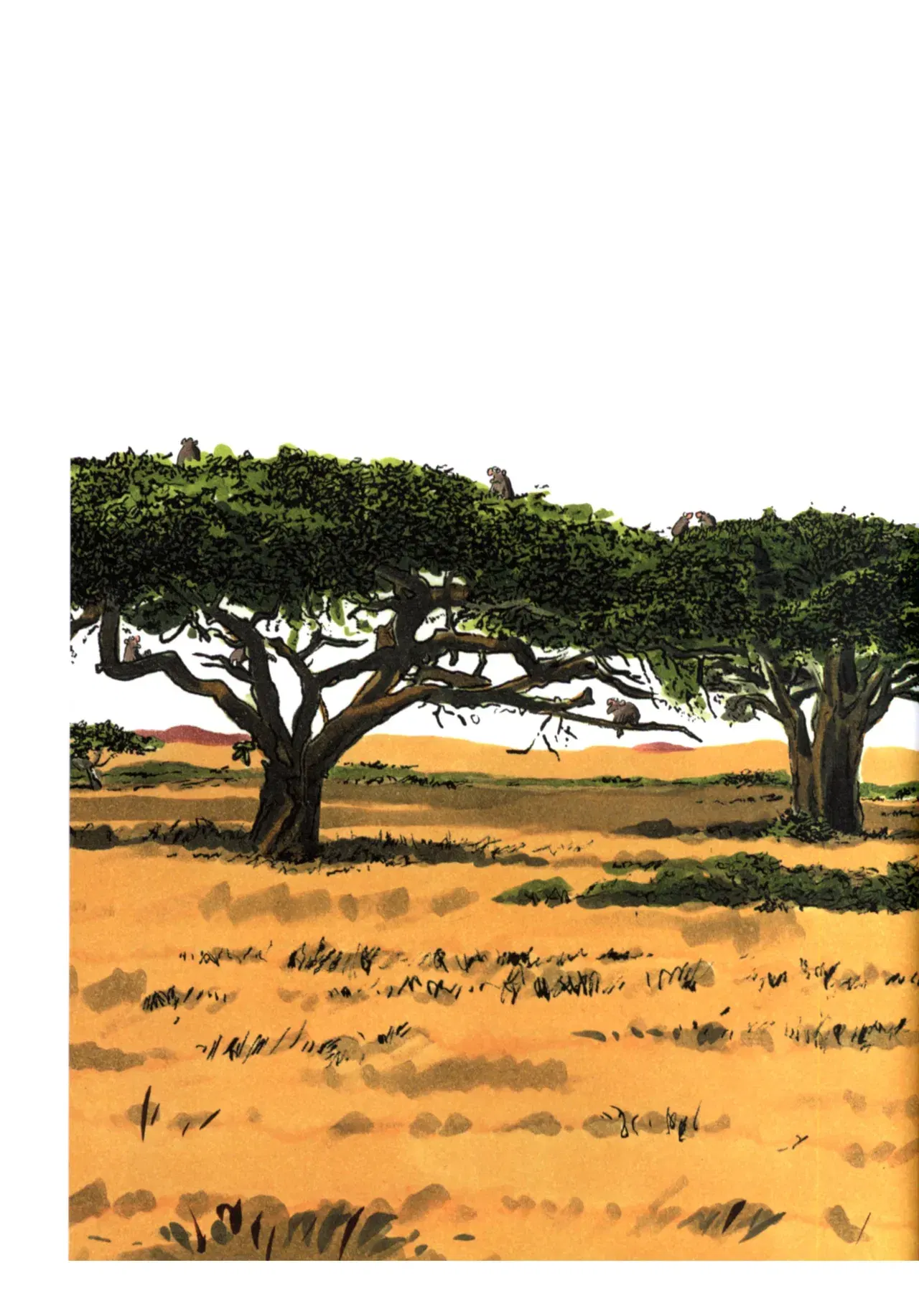 Image #49