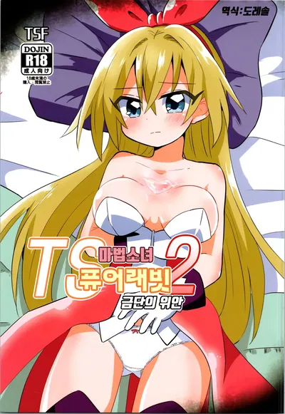 (C101) (Saneyaro) TS Mahou Shoujo Pure Rabbit 2 Kindan no Nagusamex | TS 마법소녀 퓨어 래빗 2 금단의 위안 (Korean) (도레솔) - Hentai Gallery