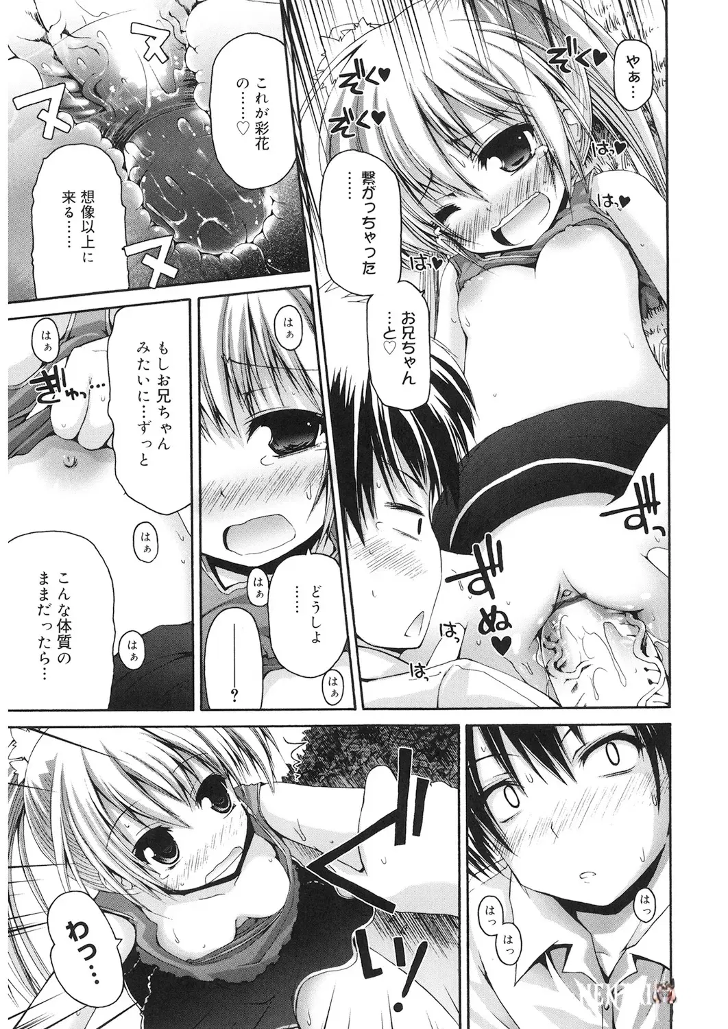 Image #14