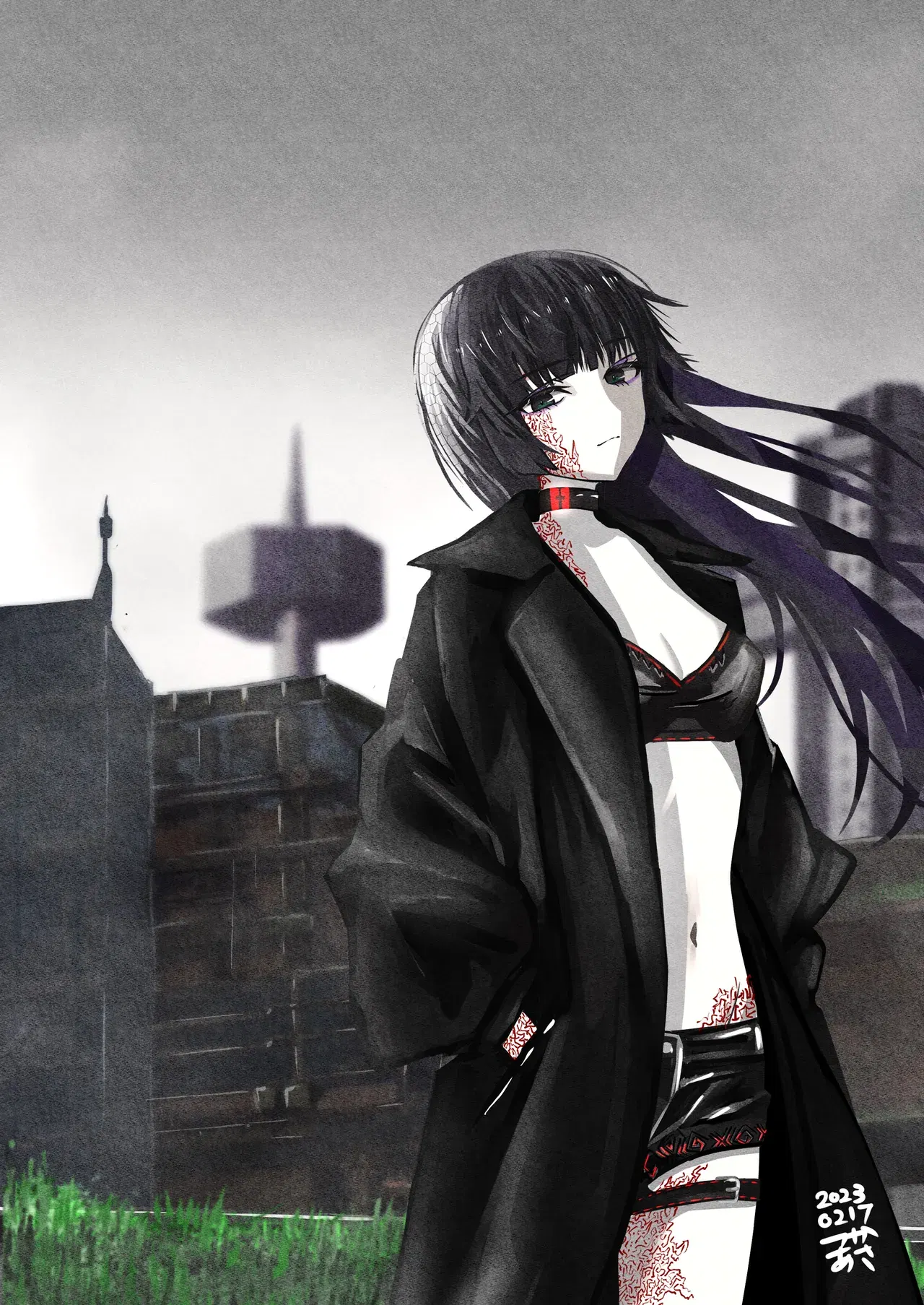 Image #258