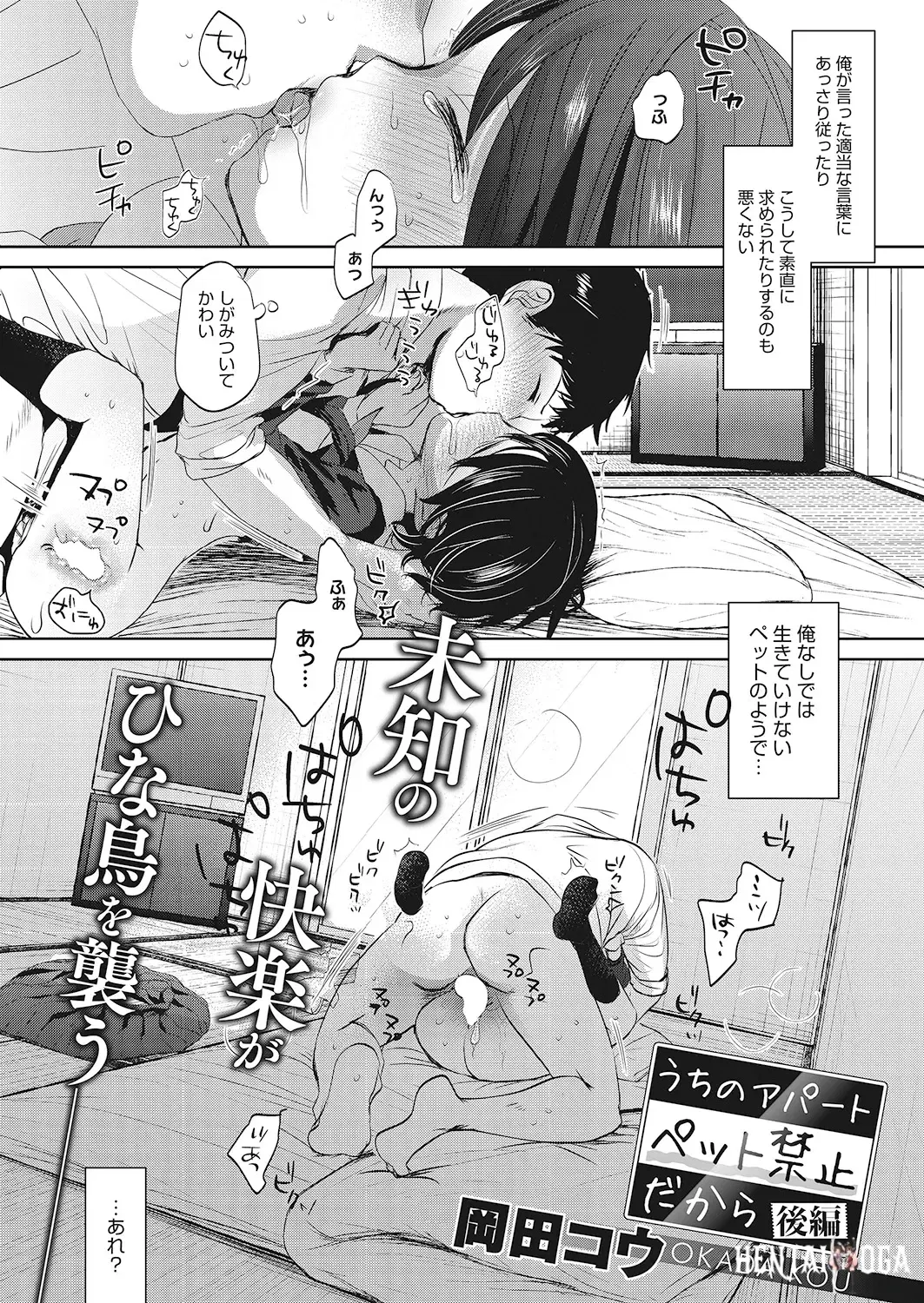 Image #41