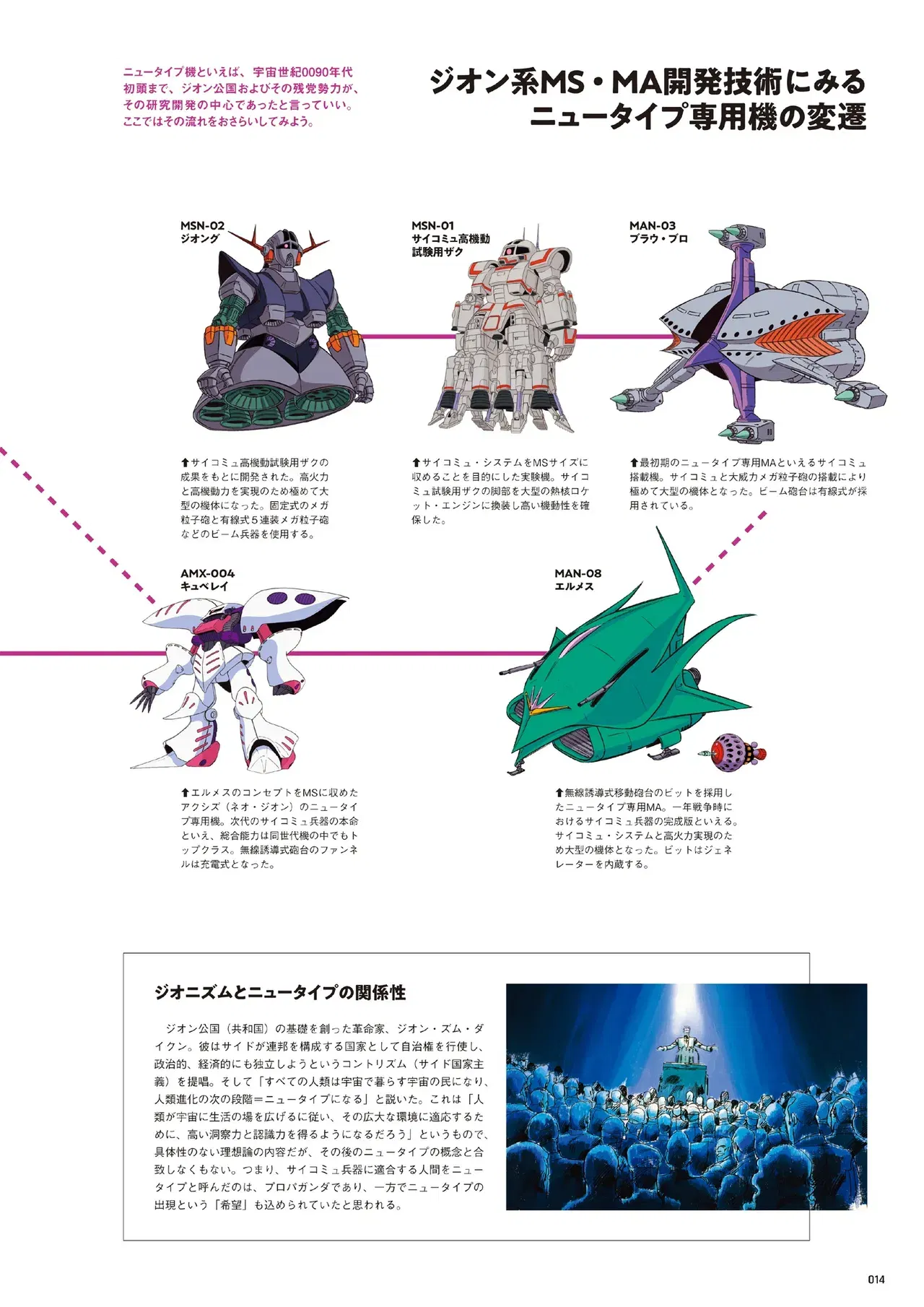 Image #14