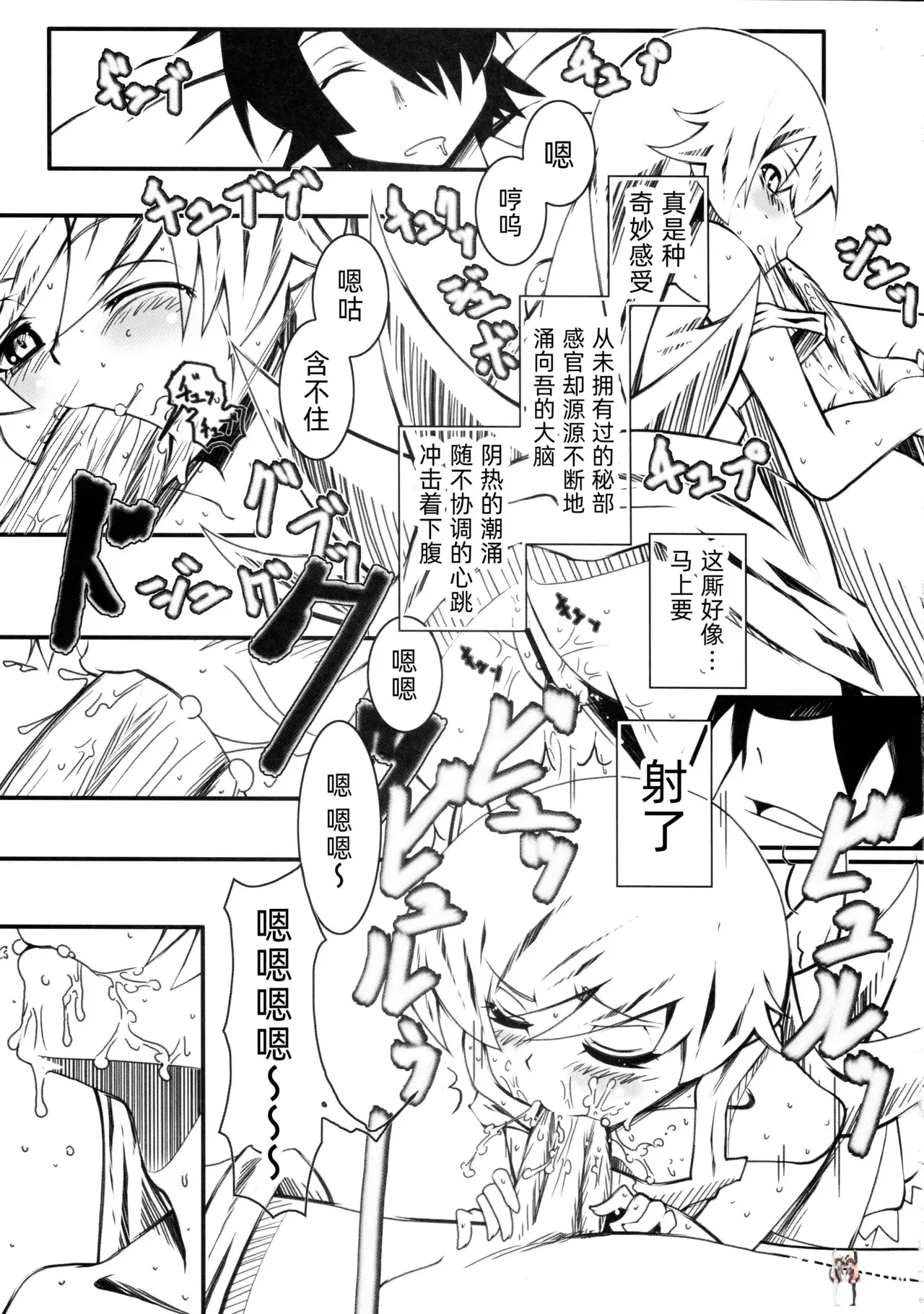 Image #12