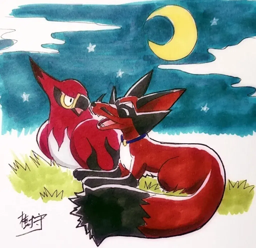 Image #11