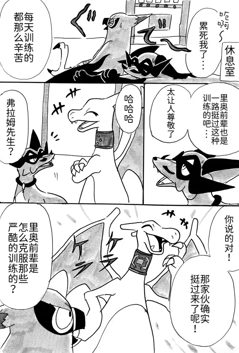 Image #12