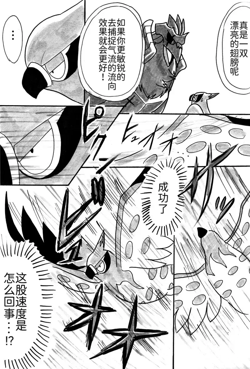 Image #19