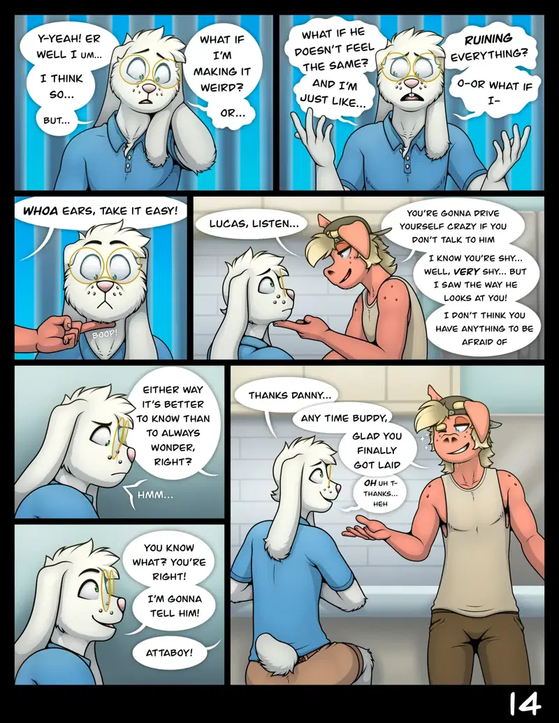 Image #14