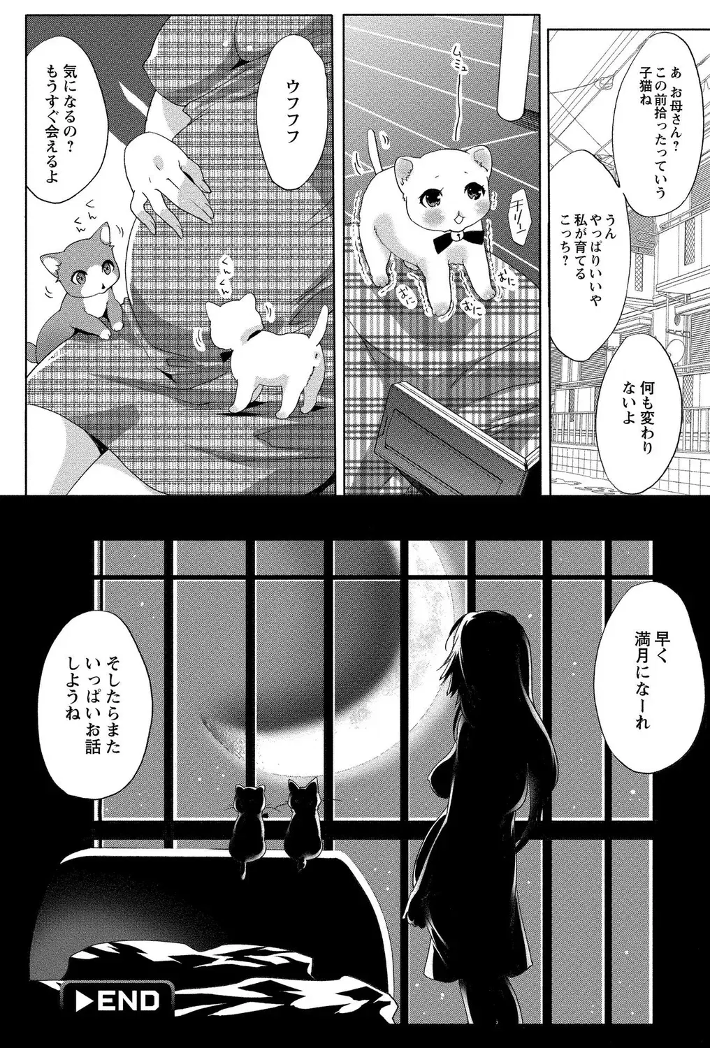 Image #50