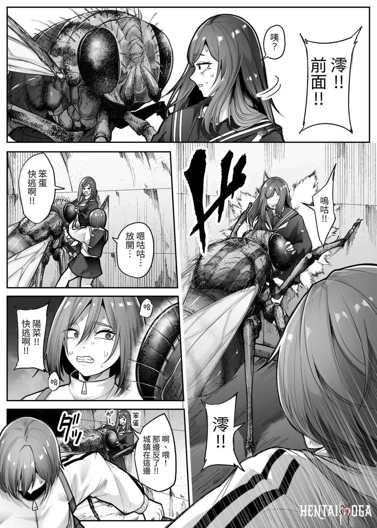 Image #12