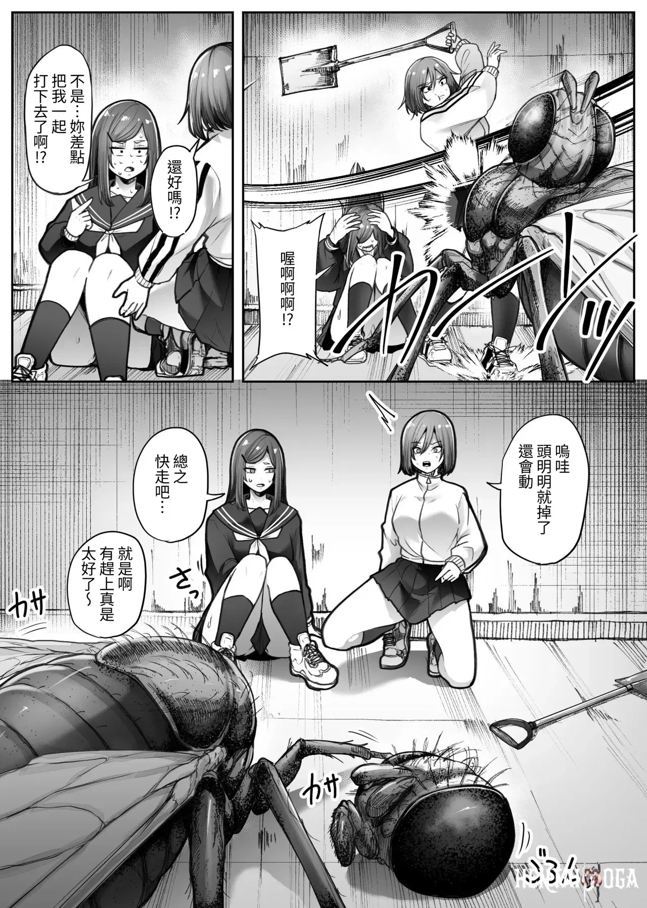 Image #14