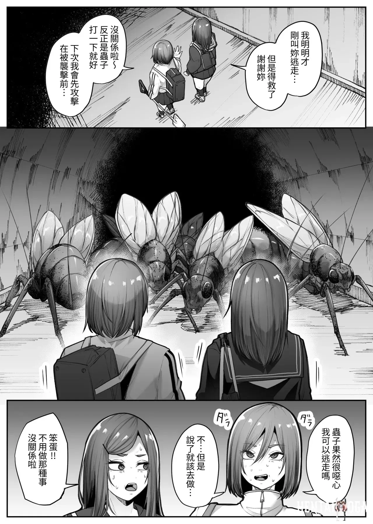 Image #15