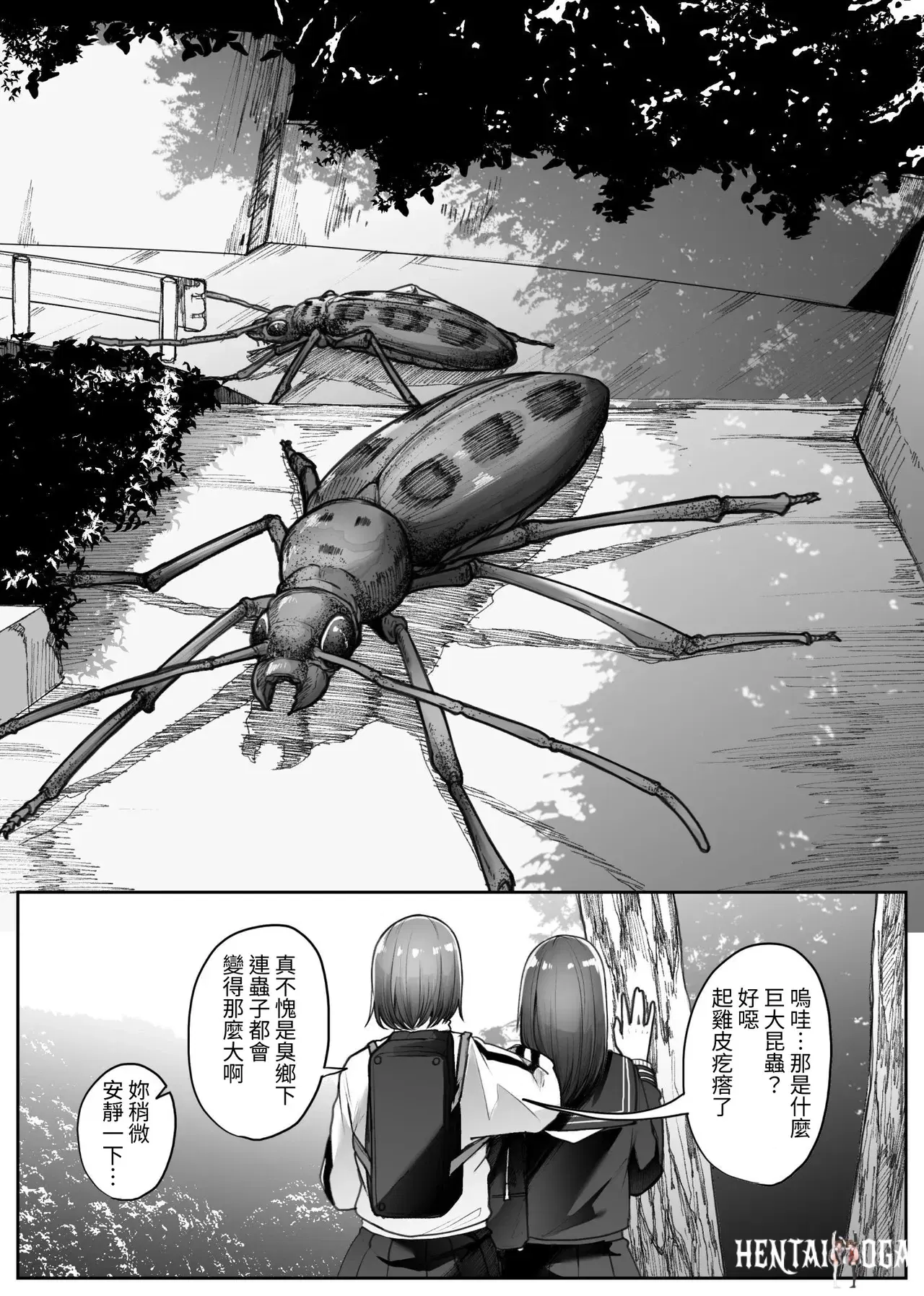Image #7