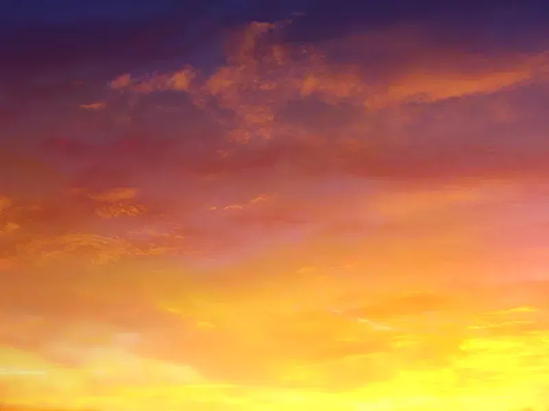 Image #55