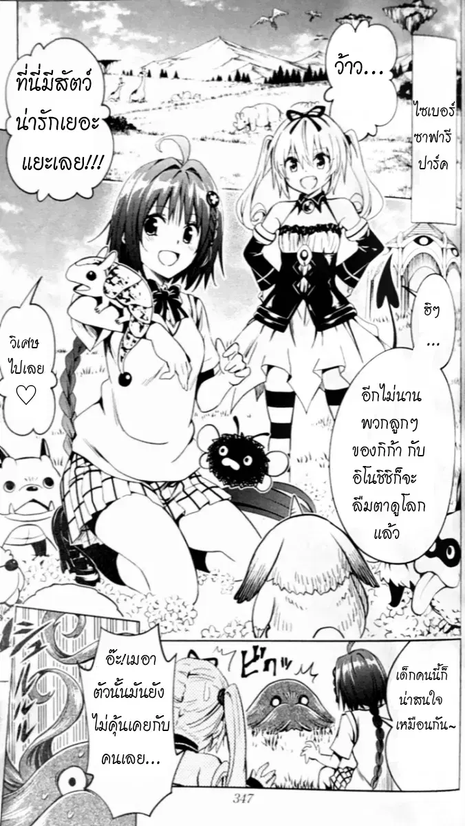 Image #24