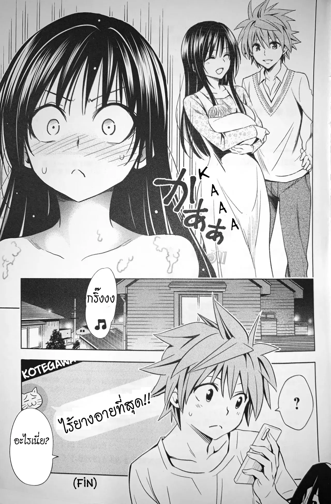 Image #47