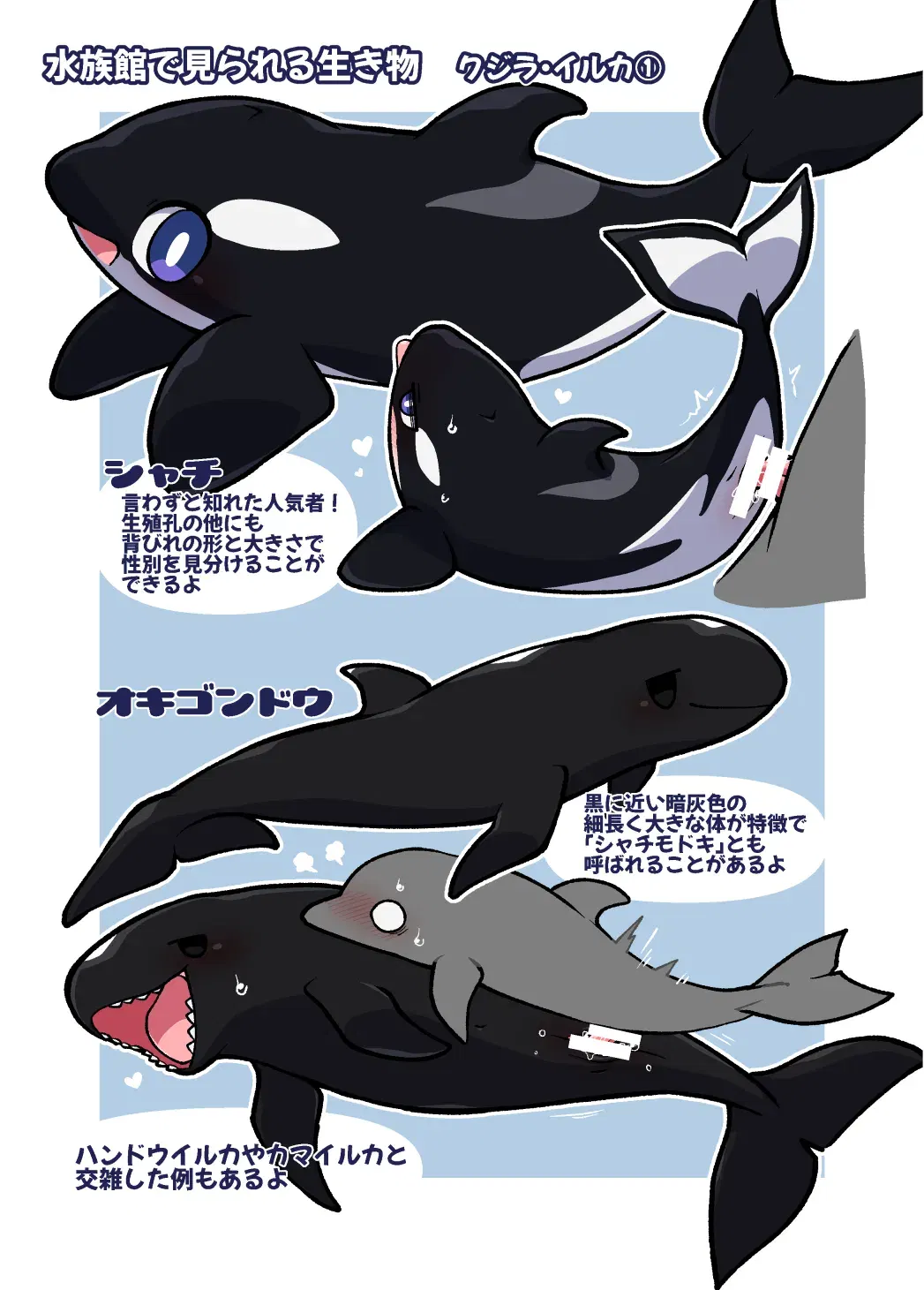 Image #10