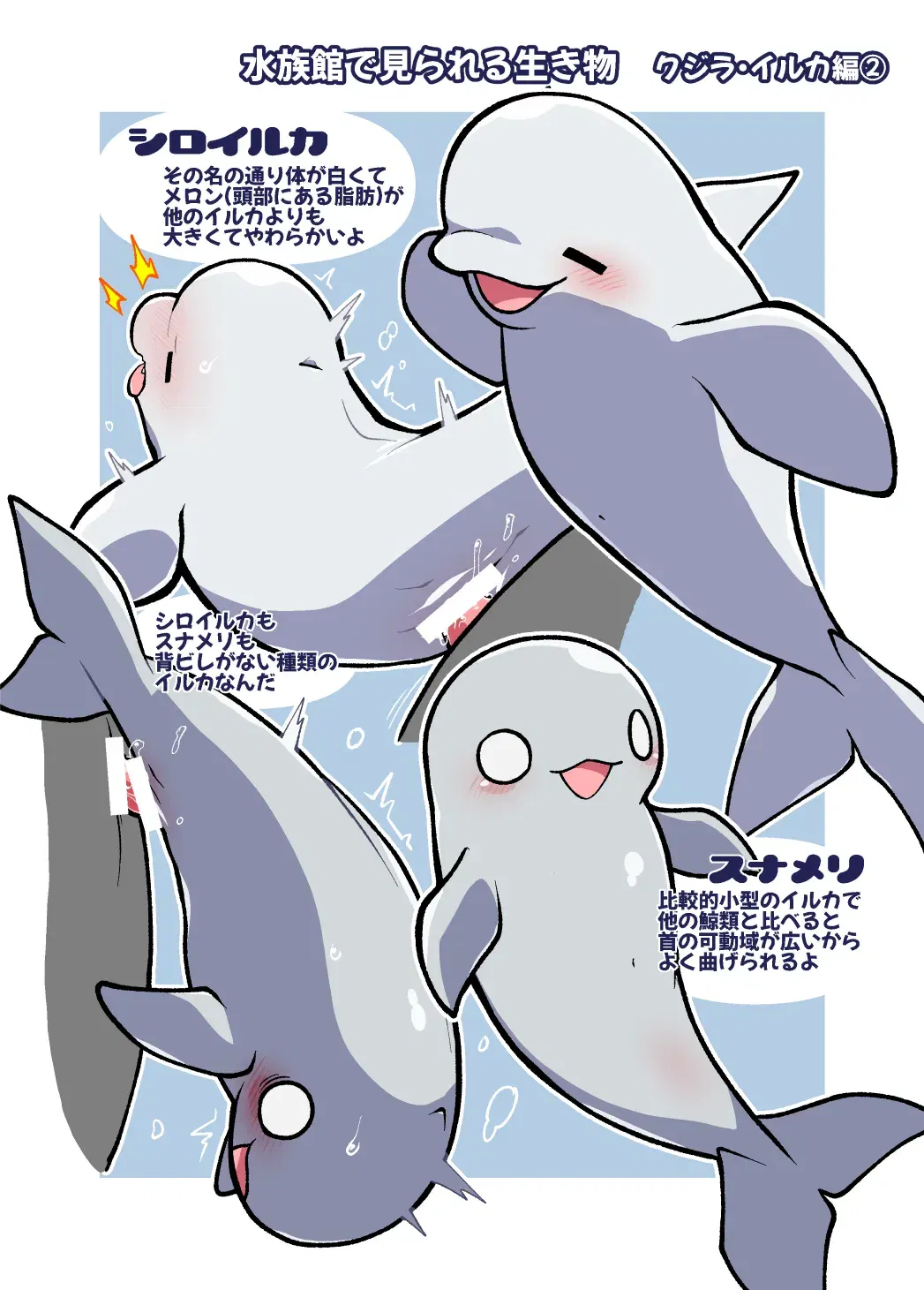 Image #11