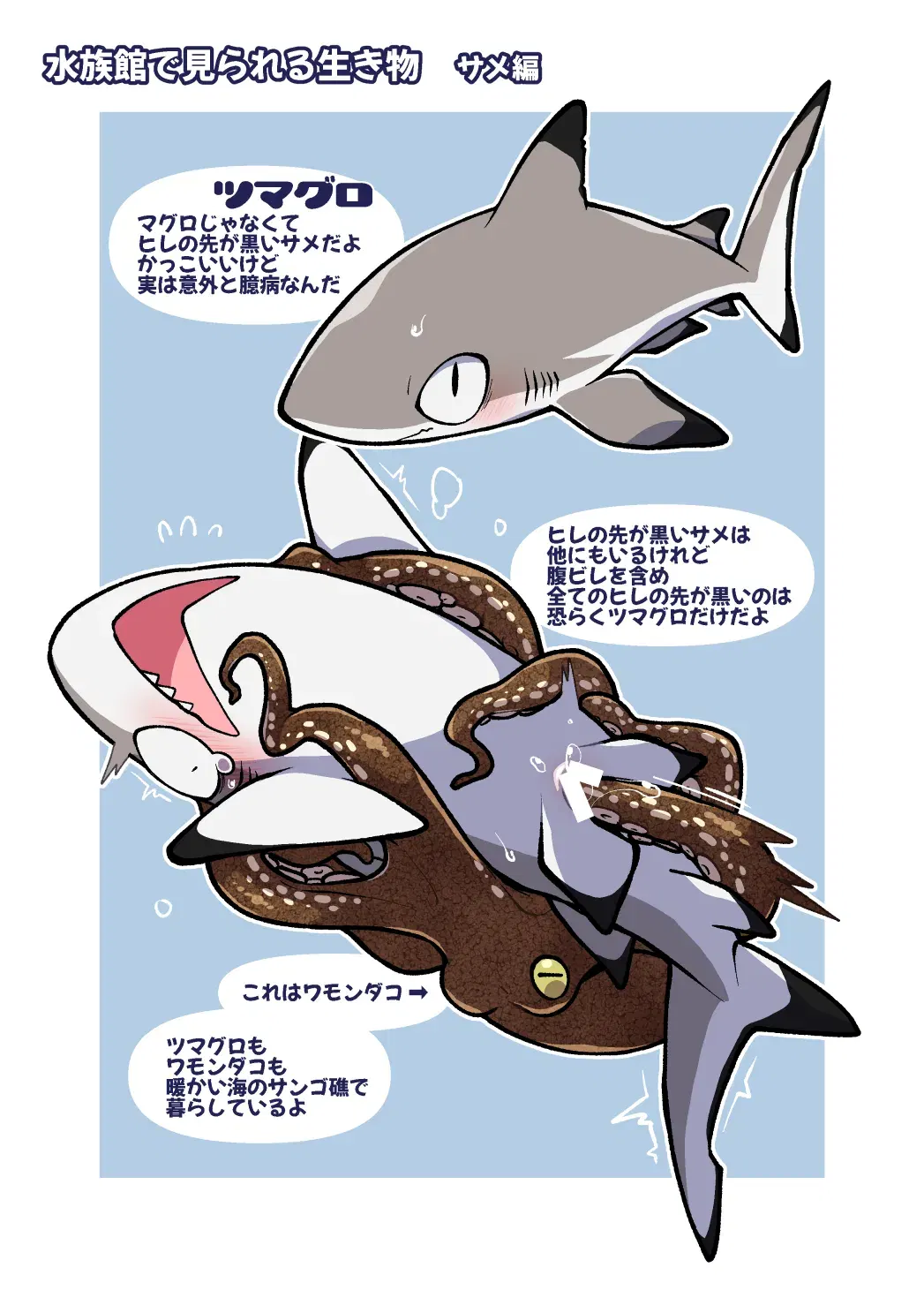 Image #12