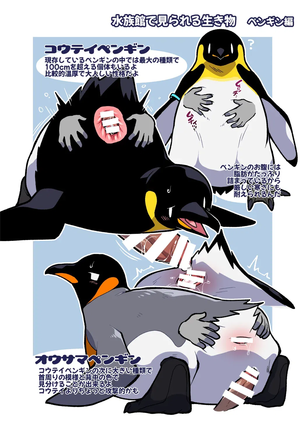 Image #13