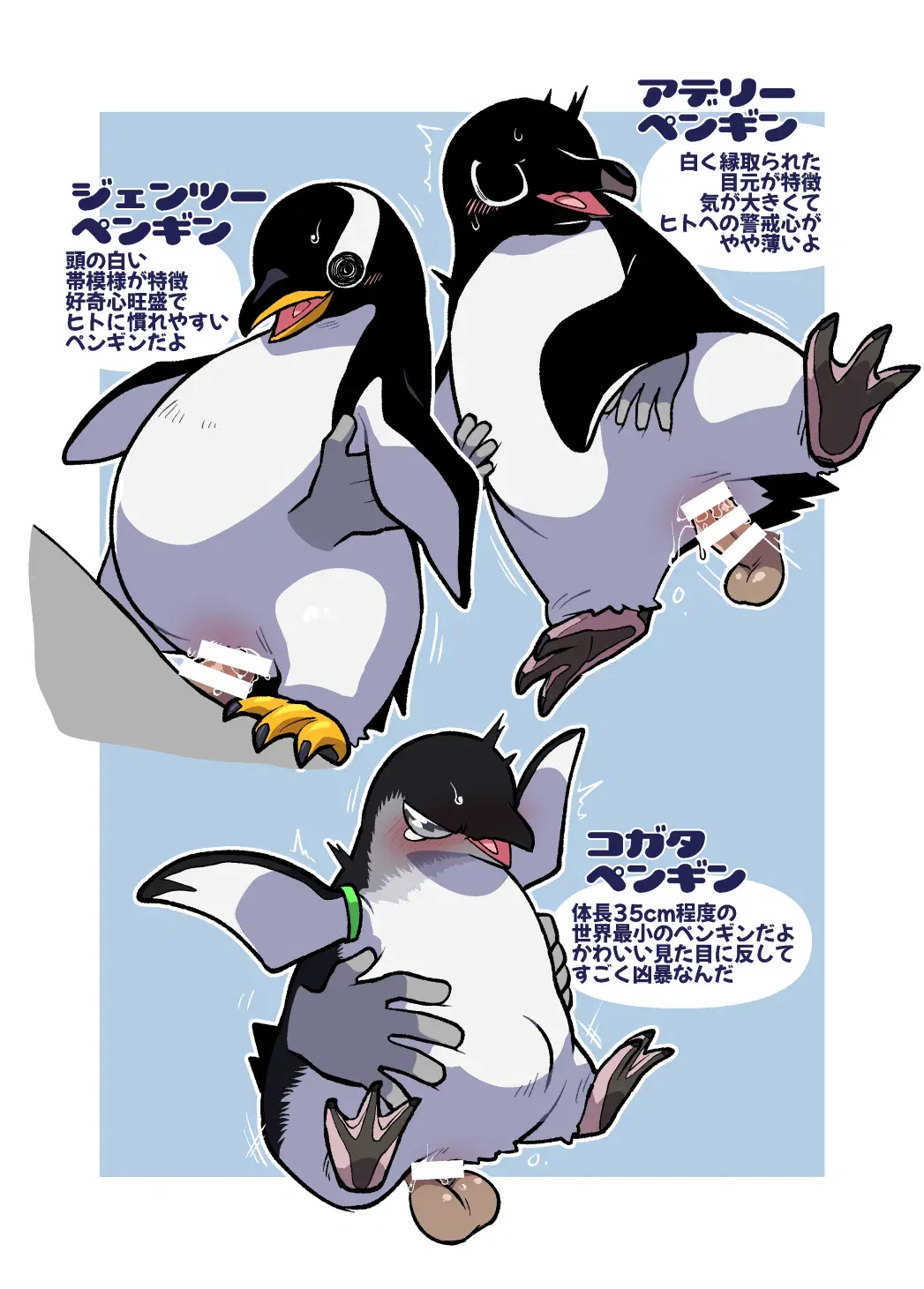 Image #14