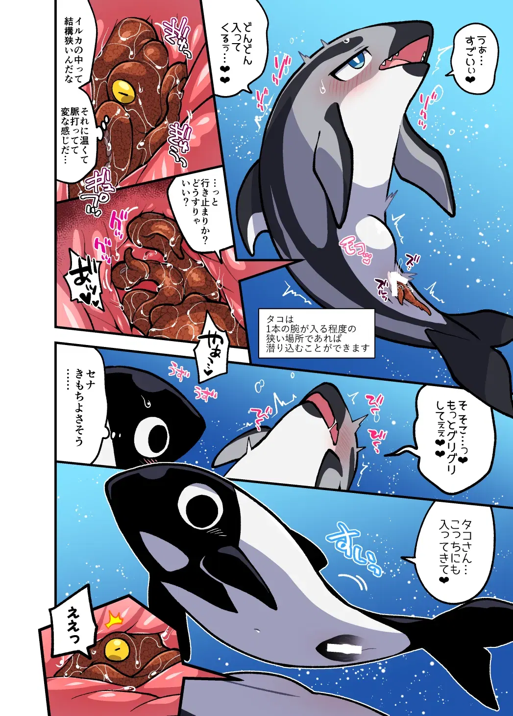 Image #5