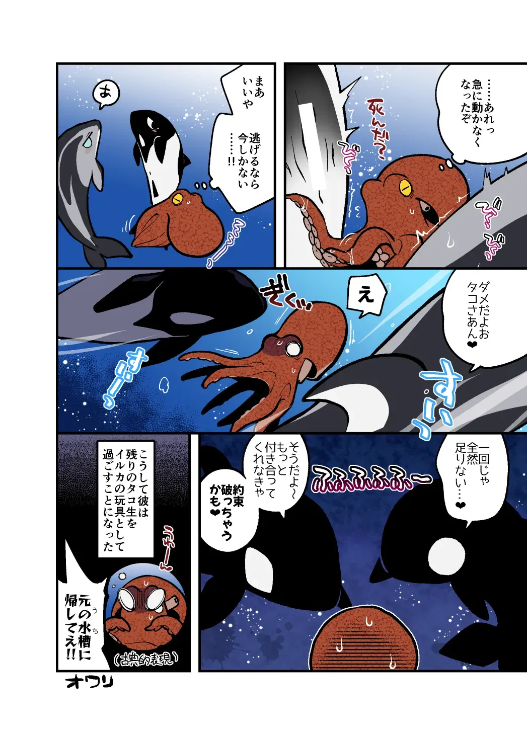 Image #9
