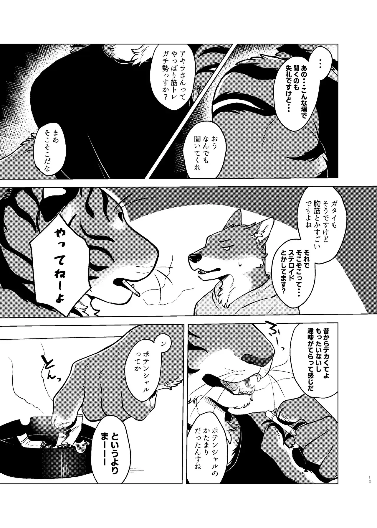 Image #12