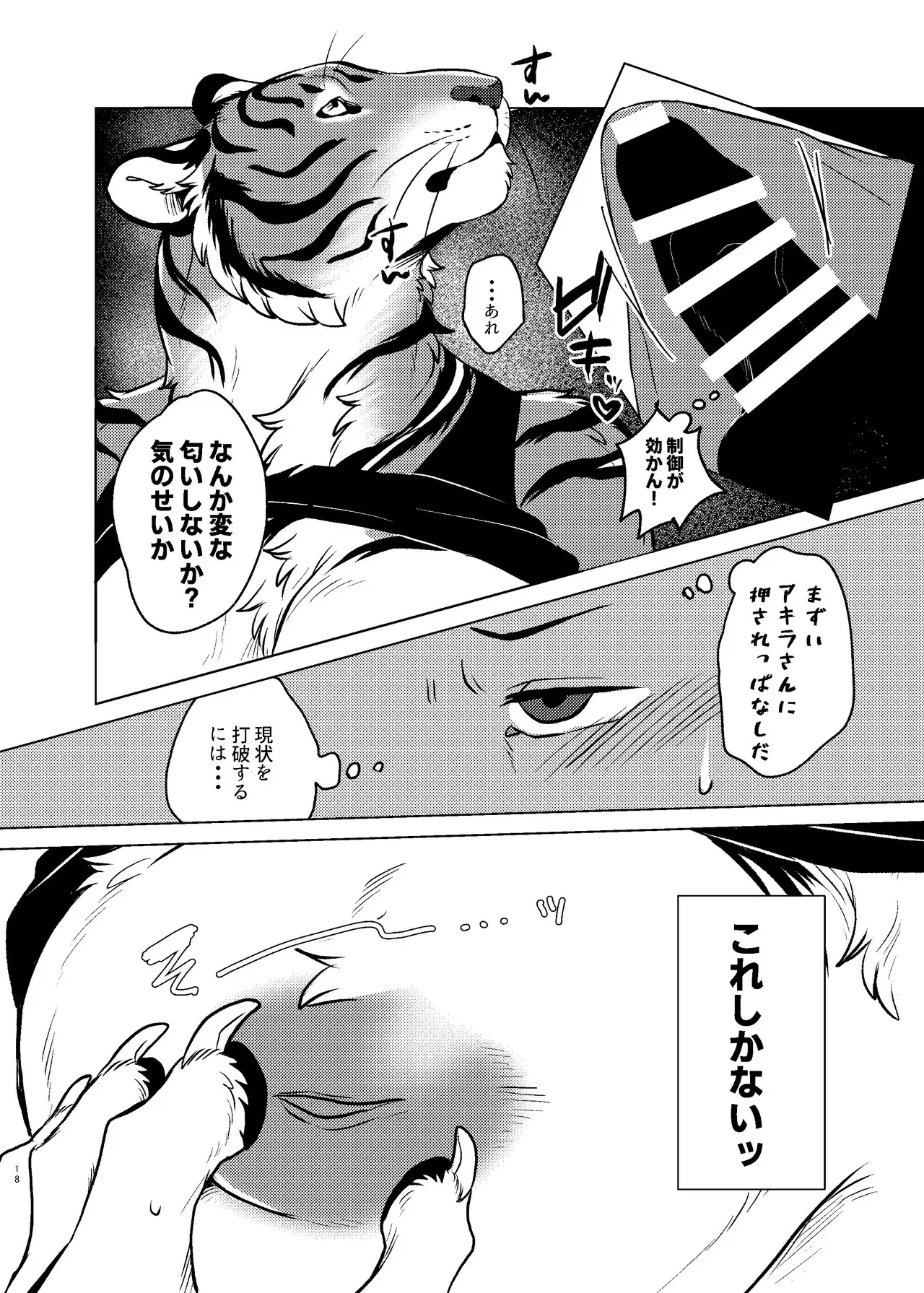 Image #17