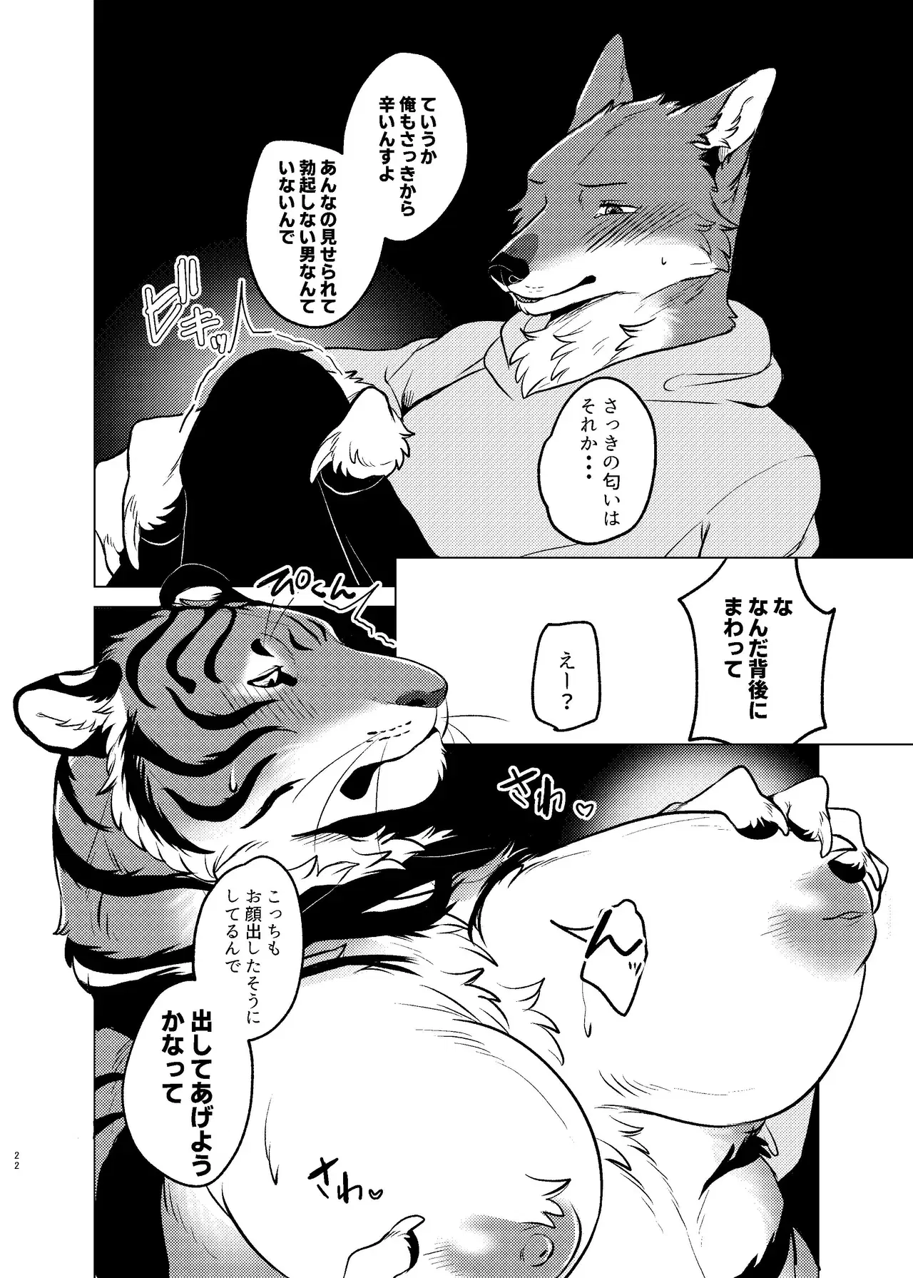 Image #21
