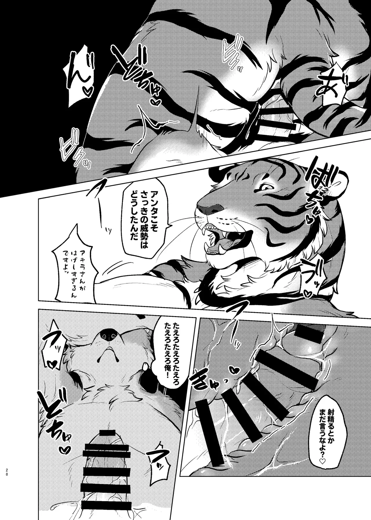 Image #26